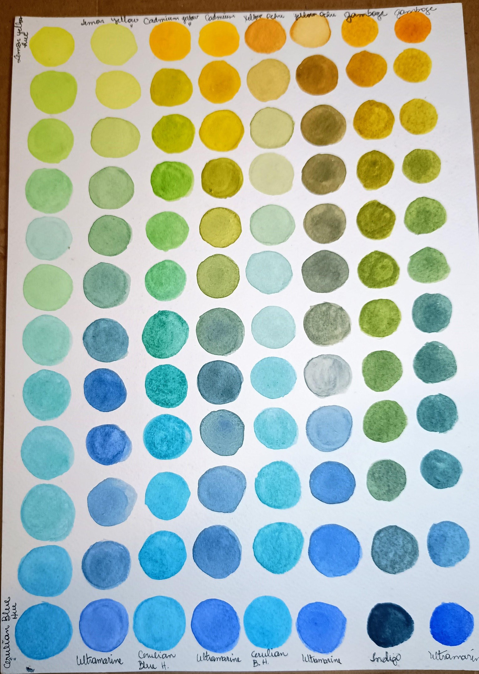 Enjoying the beauty of colors - image 2 - student project