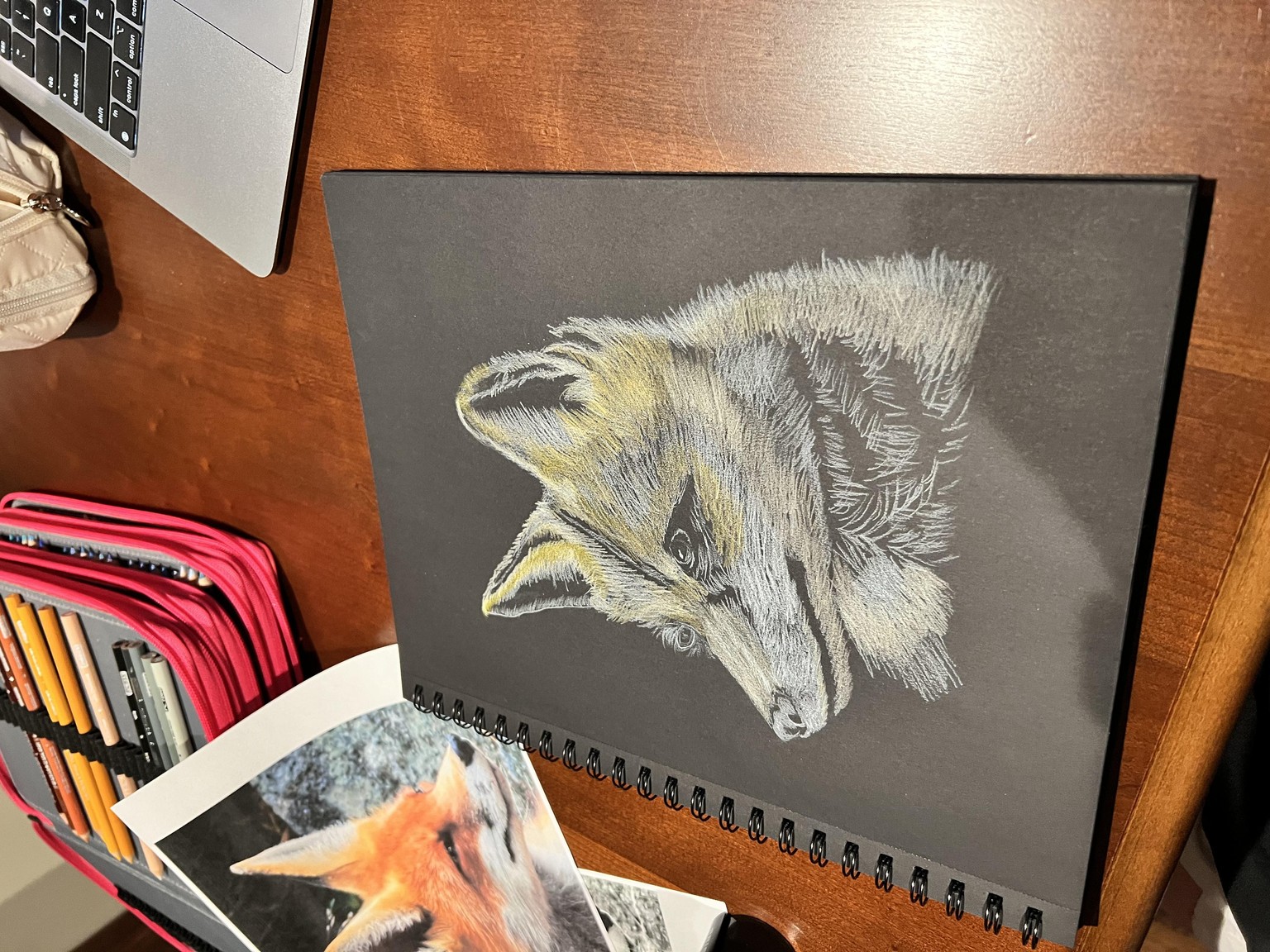 Fox on Black Paper - image 1 - student project