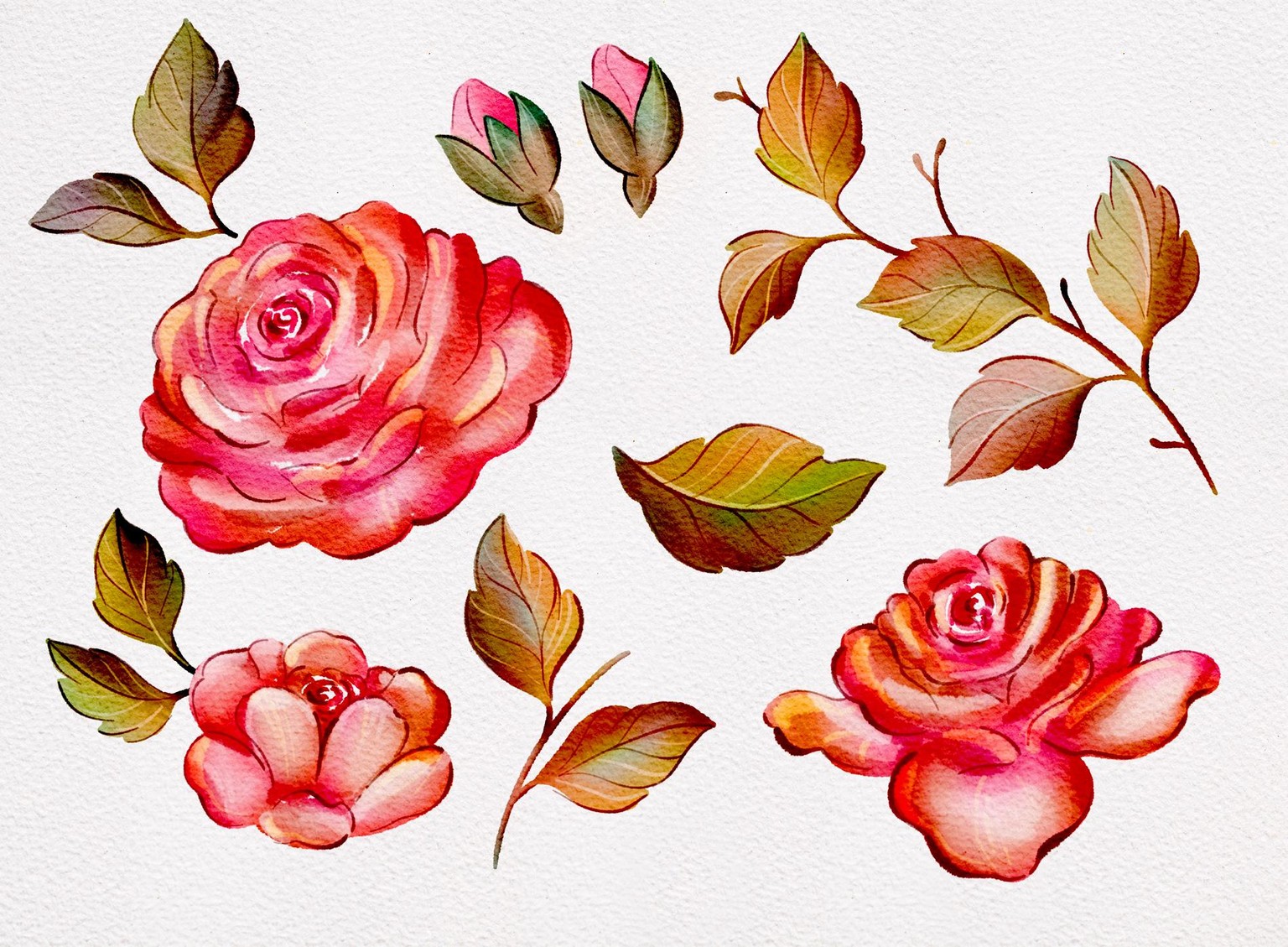 Procreate Watercolors Example Project - image 4 - student project
