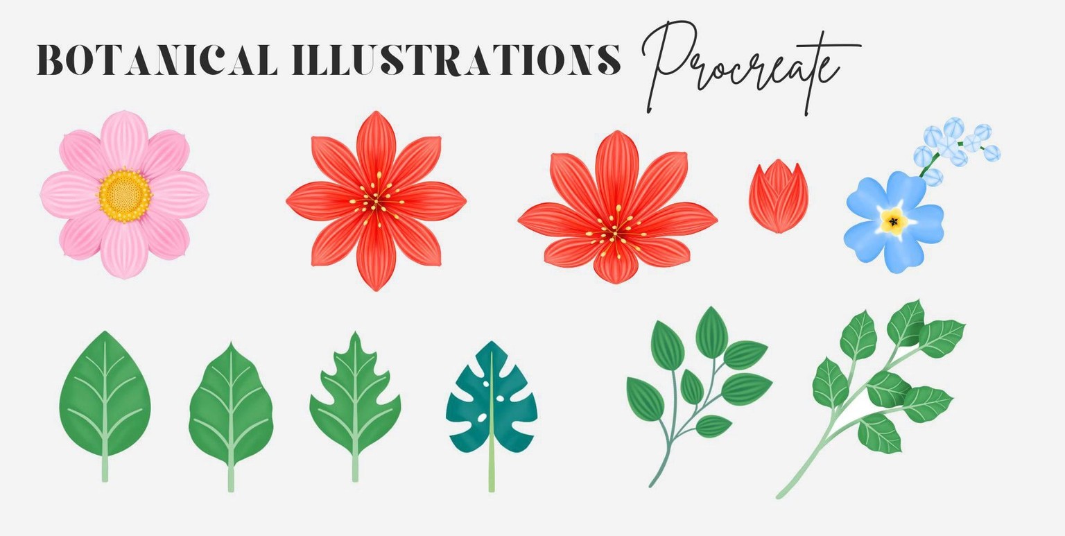 My botanical Project - Silvia Ospina - image 1 - student project