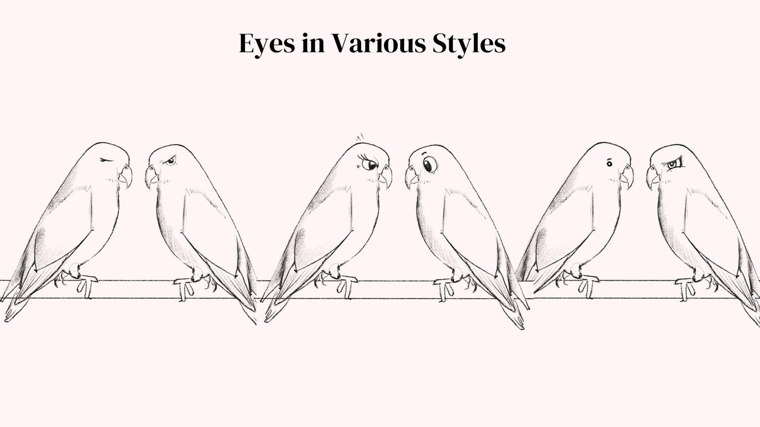 My Bird Drawings in Procreate - image 5 - student project