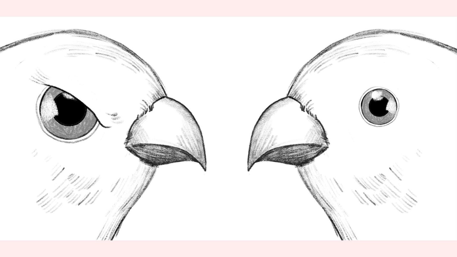 My Bird Drawings in Procreate - image 4 - student project
