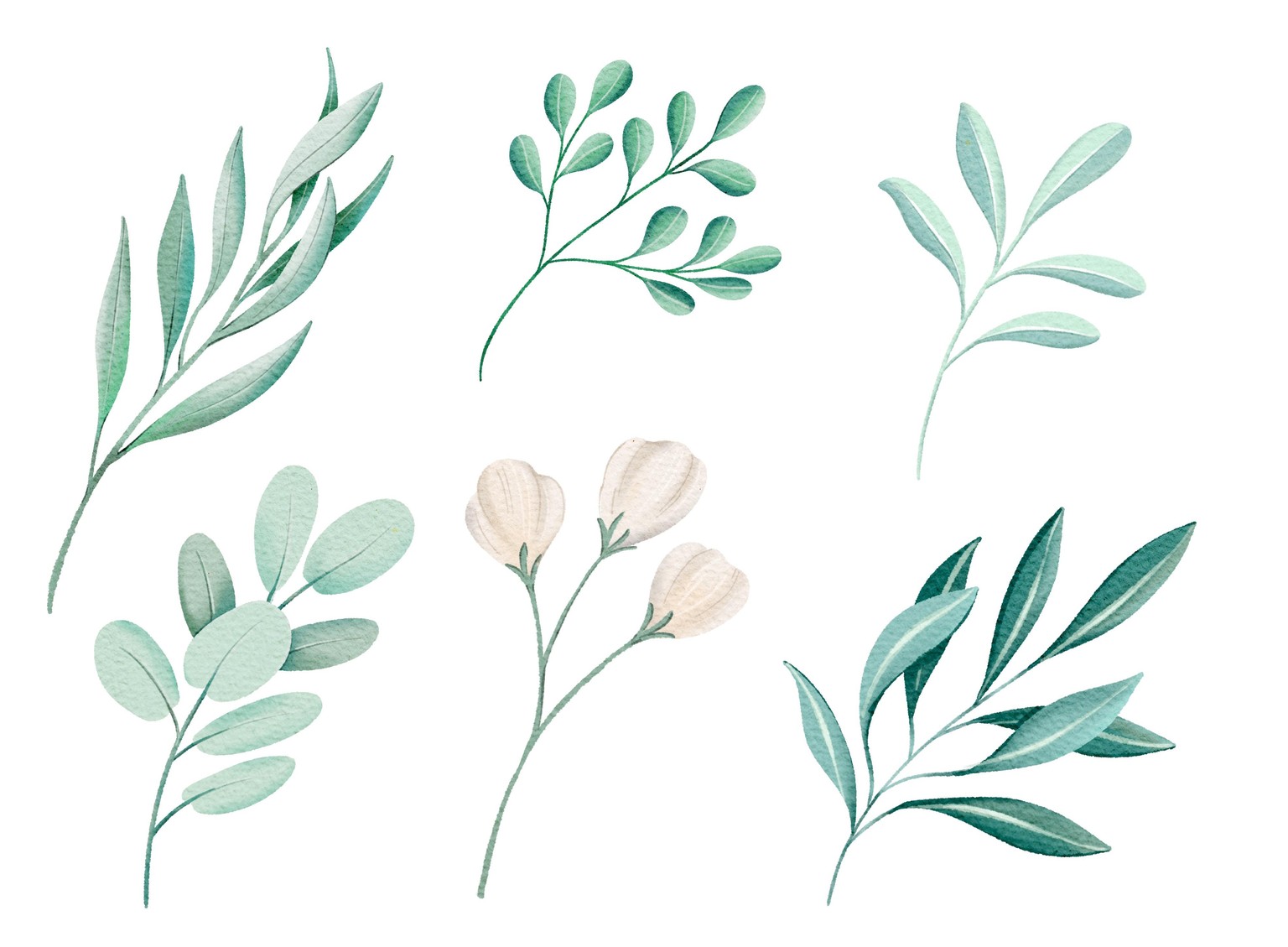 Procreate Watercolors Example Project - image 2 - student project