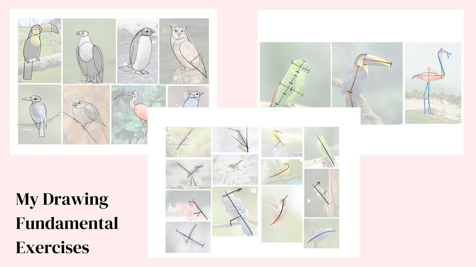 My Bird Drawings in Procreate - image 2 - student project