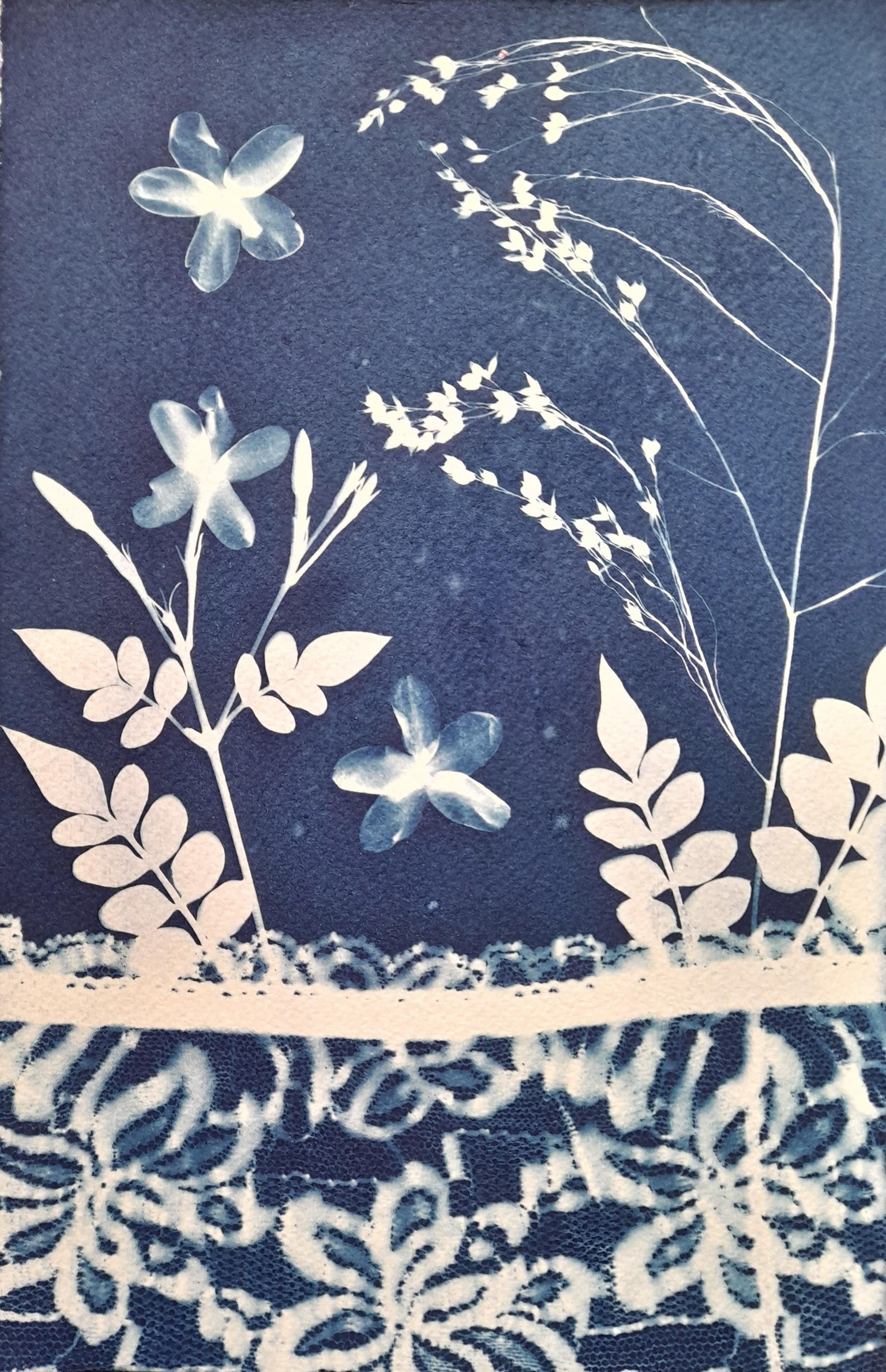 Wet Cyanotypes - image 4 - student project