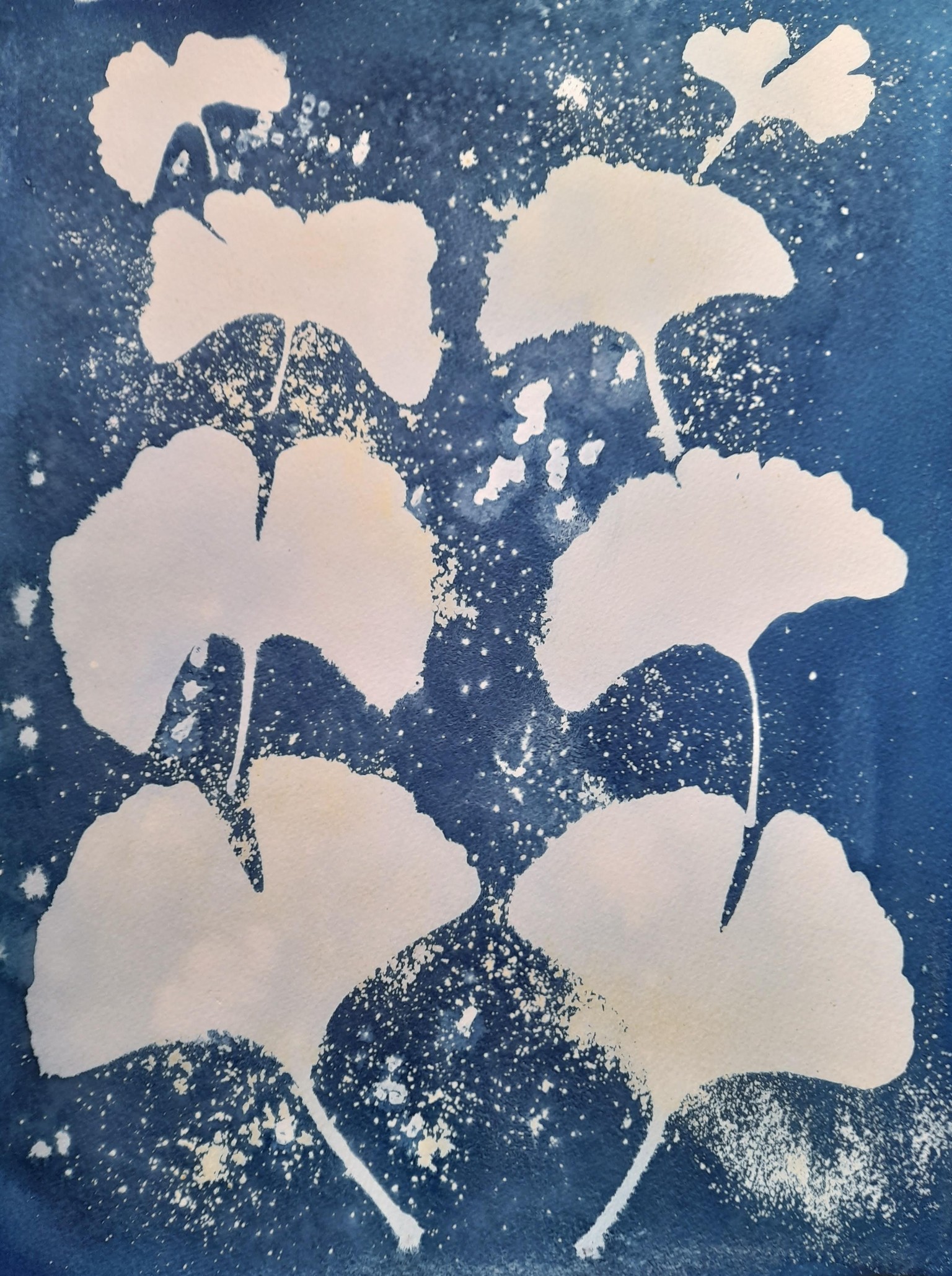 Wet Cyanotypes - image 1 - student project