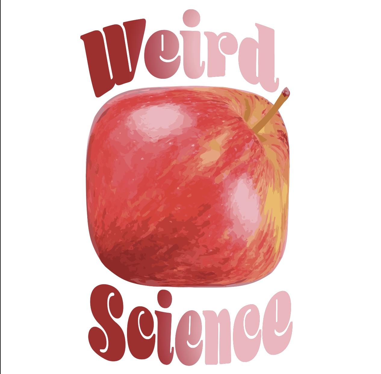 Warp Text Fun - image 2 - student project