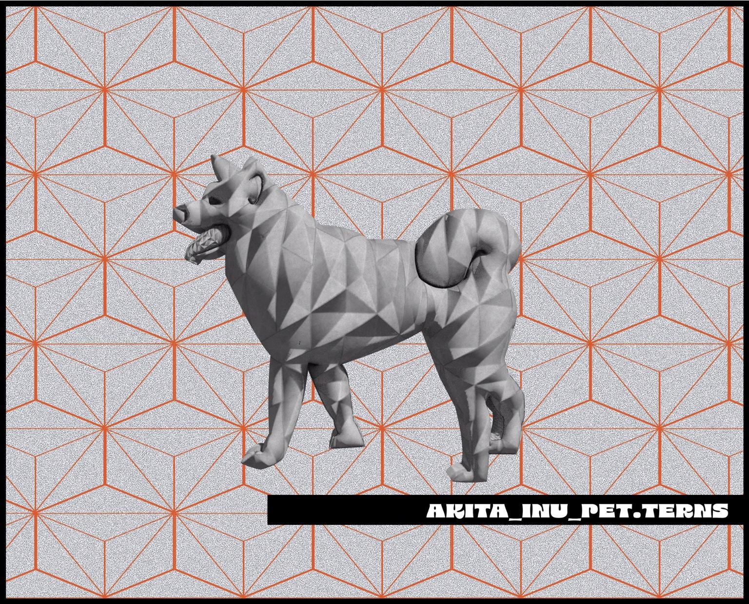 Akita Inu Petterns…. - image 2 - student project