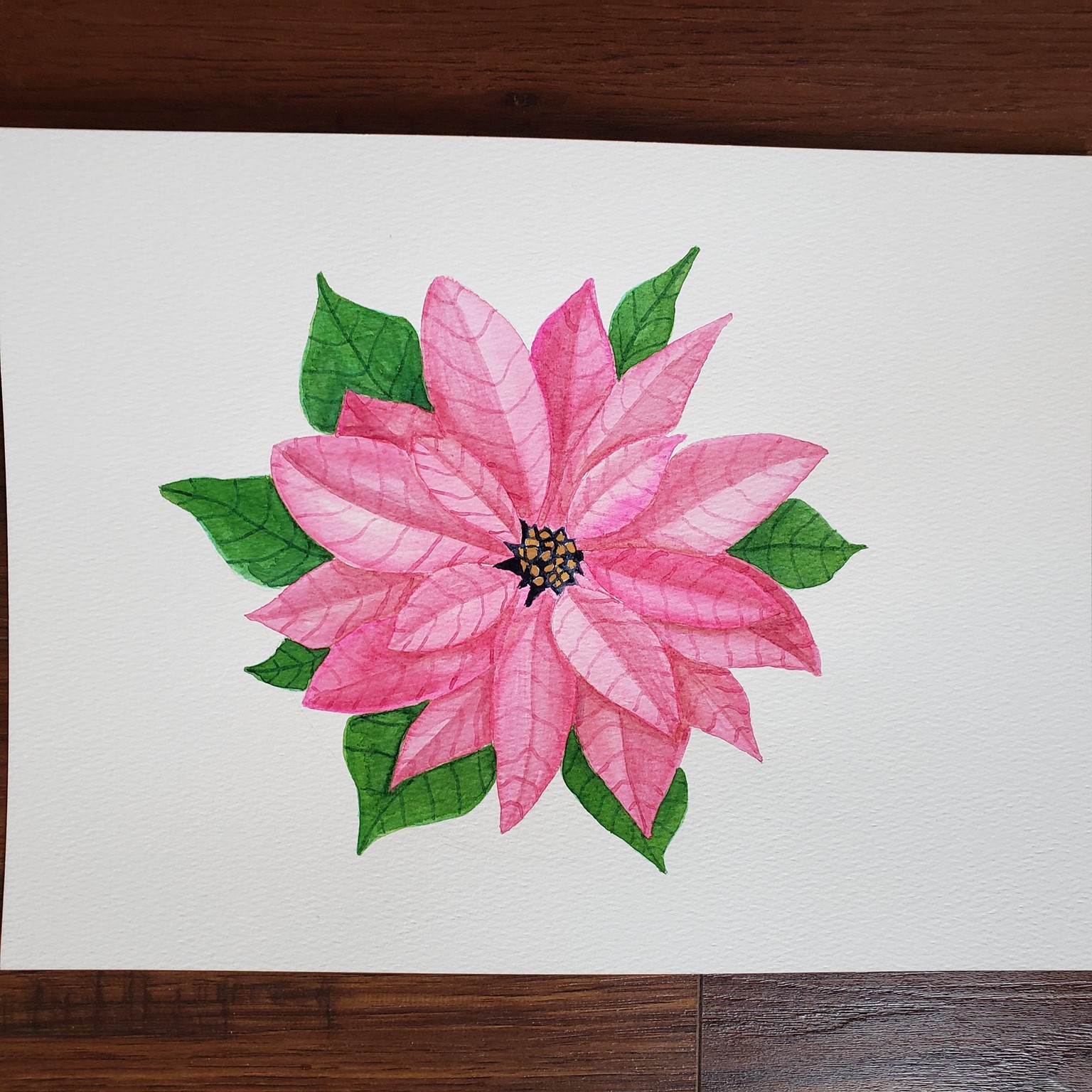 Poinsettia - image 1 - student project