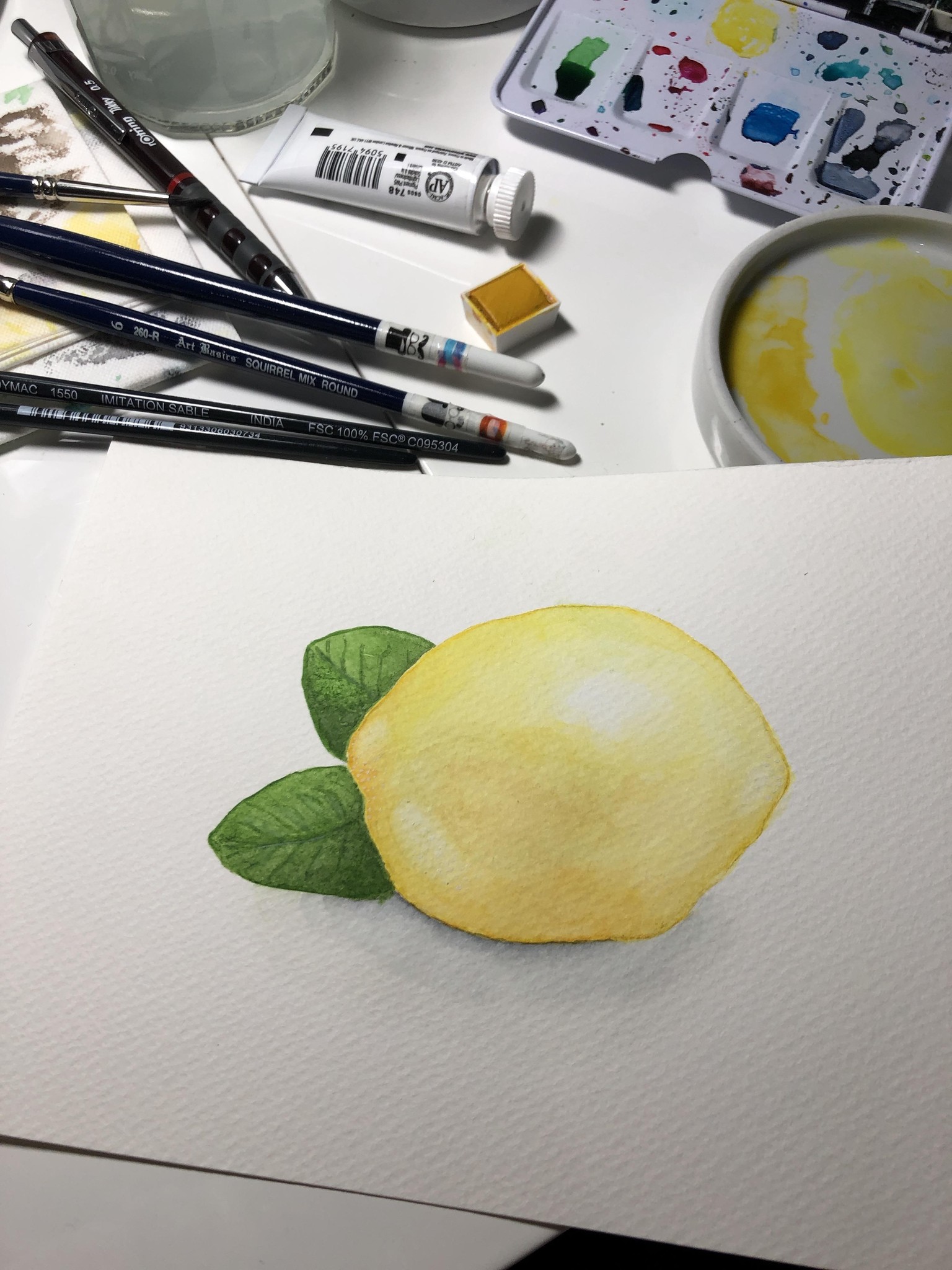 Watercolor Citrus - image 3 - student project