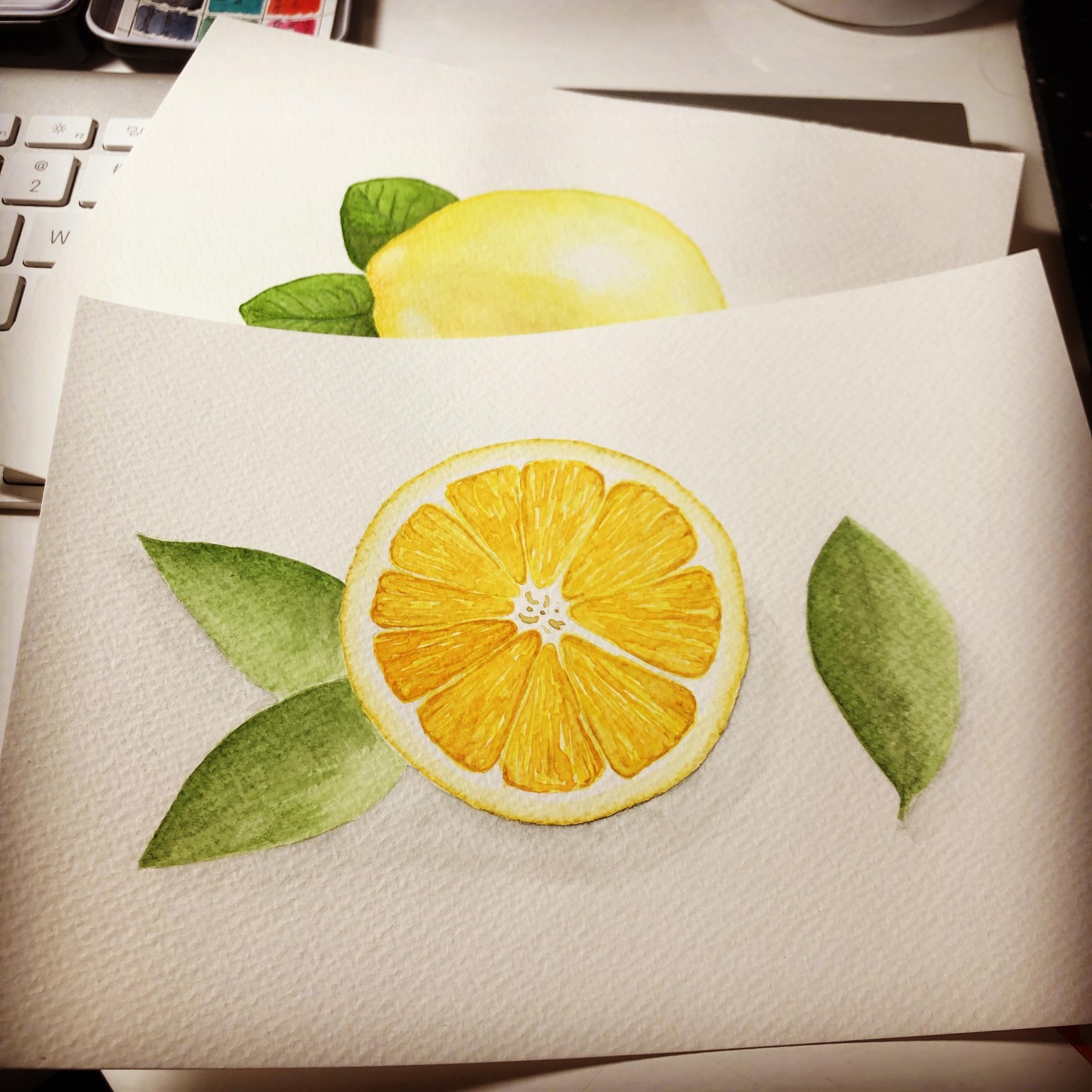 Watercolor Citrus - image 2 - student project