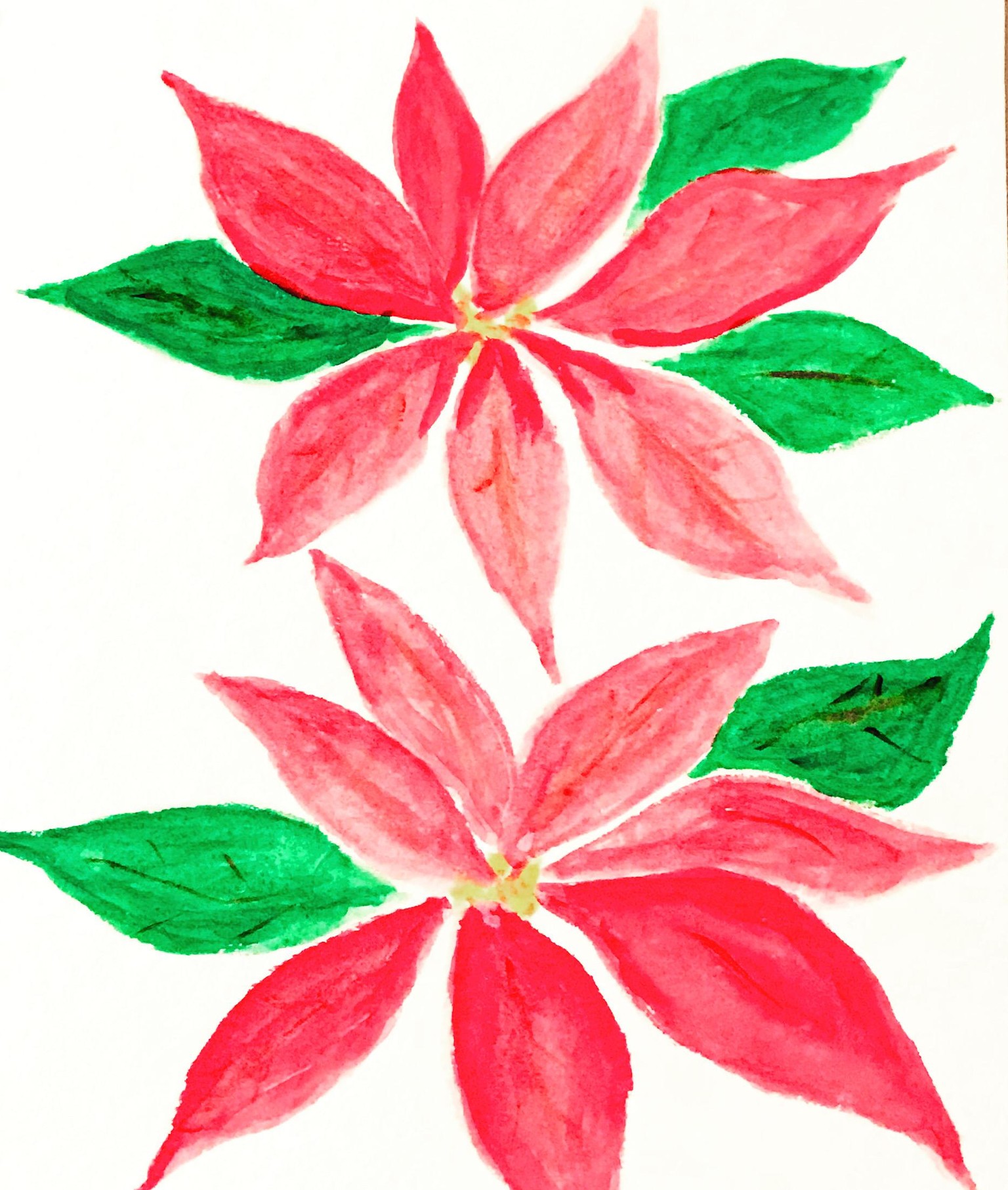 Christmas flowers - image 2 - student project
