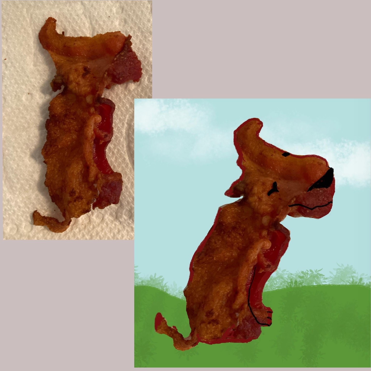 Bacon Dog - image 1 - student project