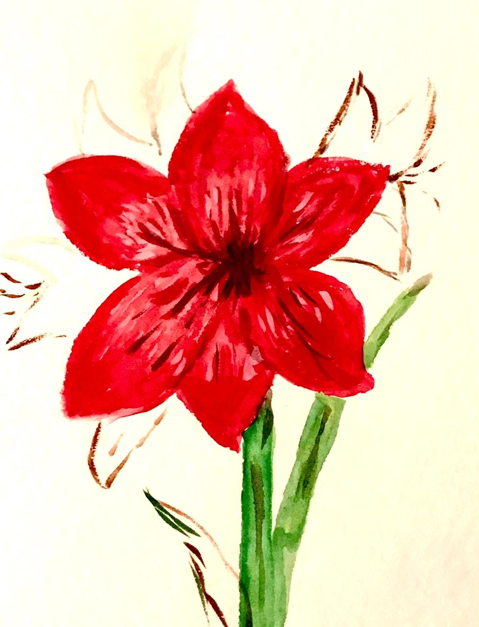 Christmas flowers - image 1 - student project