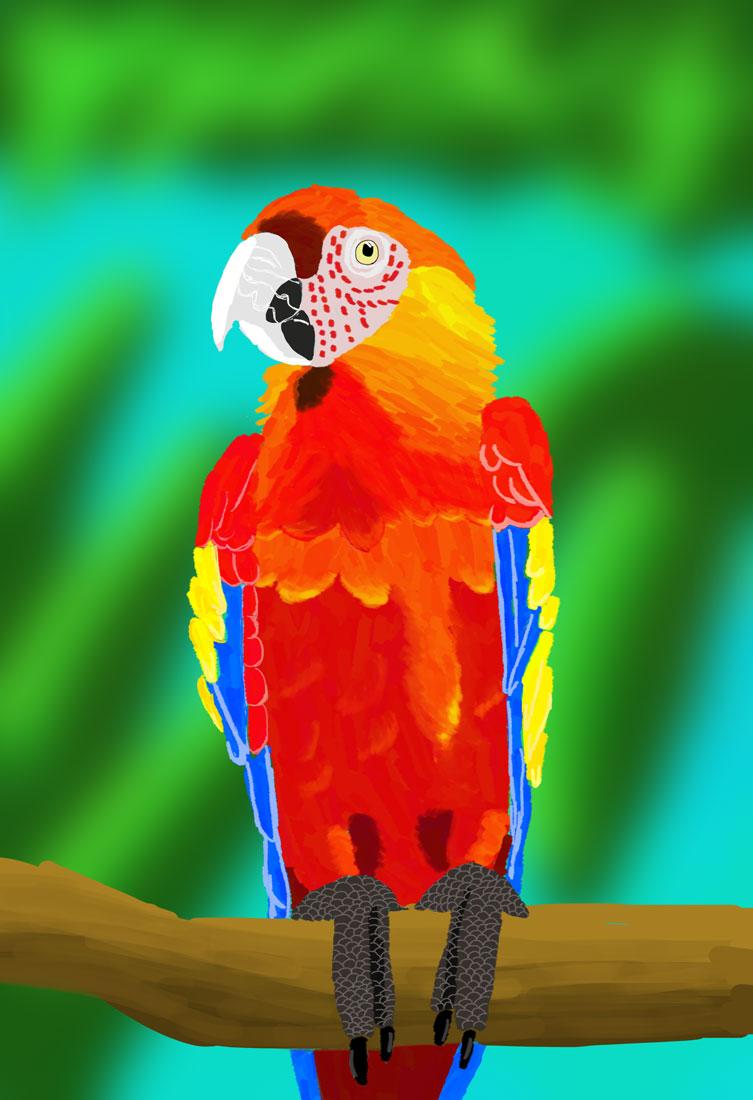 Birds - image 1 - student project