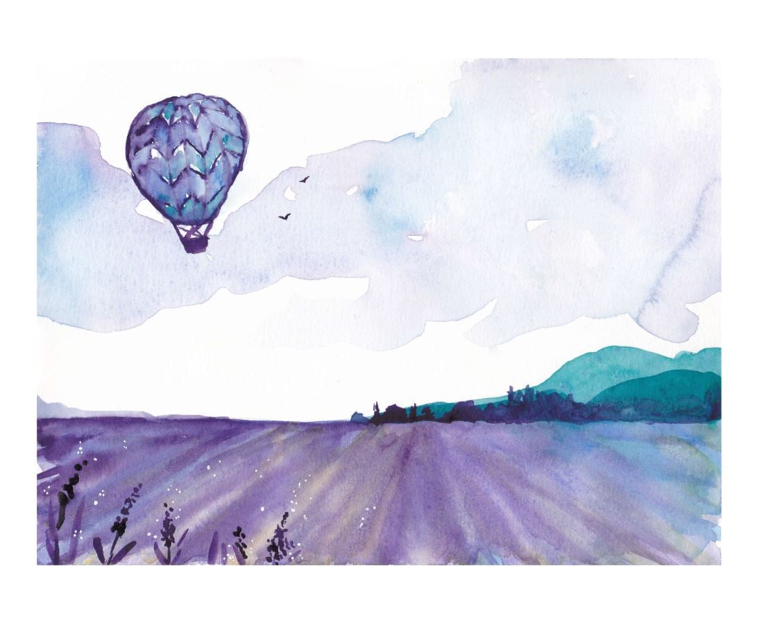 Hot air balloon over vineyard - image 1 - student project