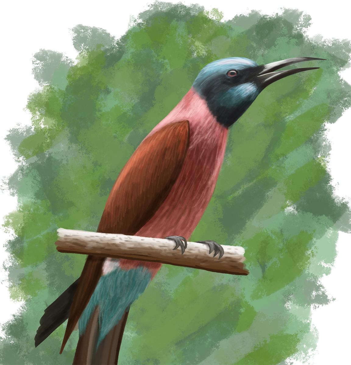 Digital Art - Learn to Draw and Paint in Photoshop - image 2 - student project