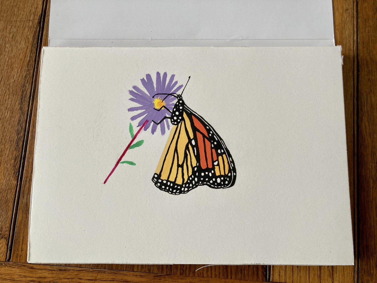 Monarch on aster - image 1 - student project