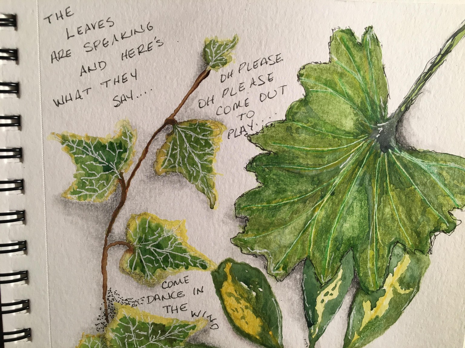 Nature Journal - image 2 - student project