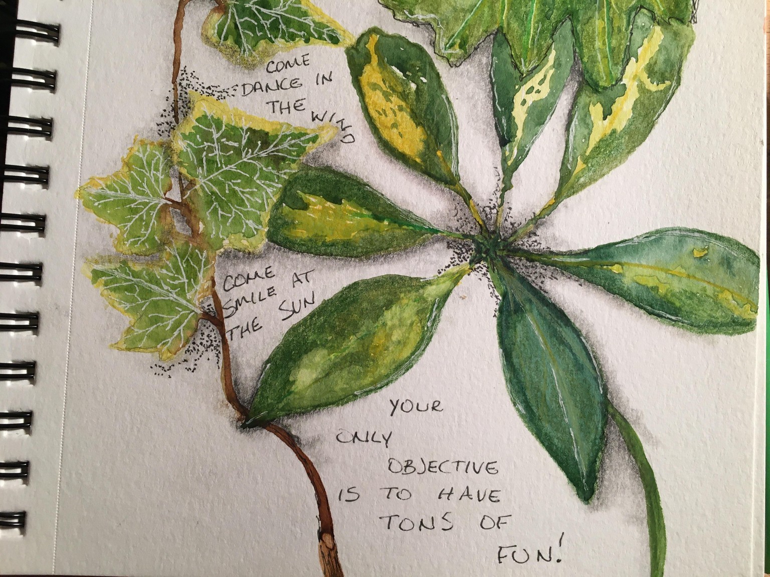 Nature Journal - image 3 - student project