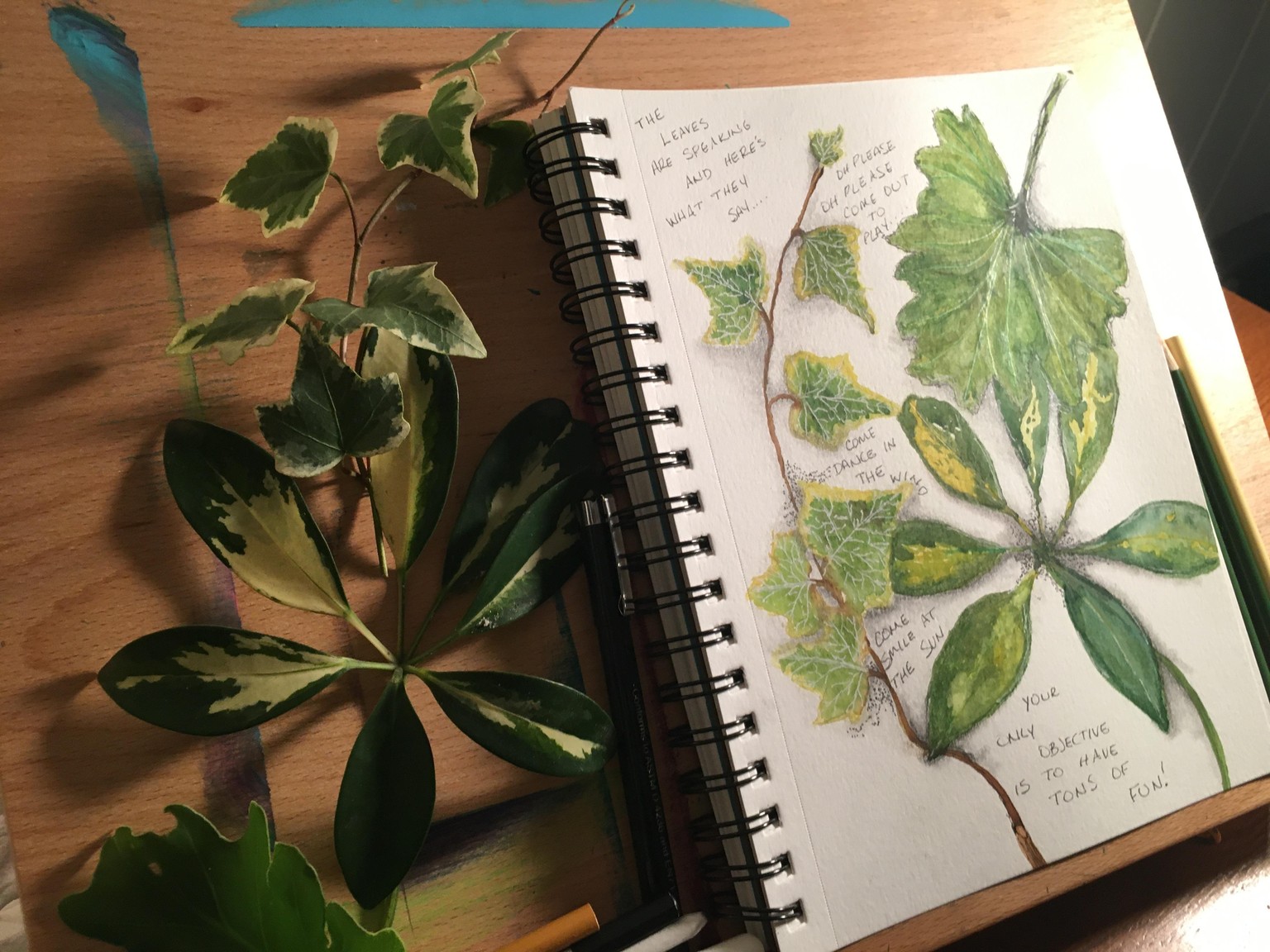 Nature Journal - image 4 - student project