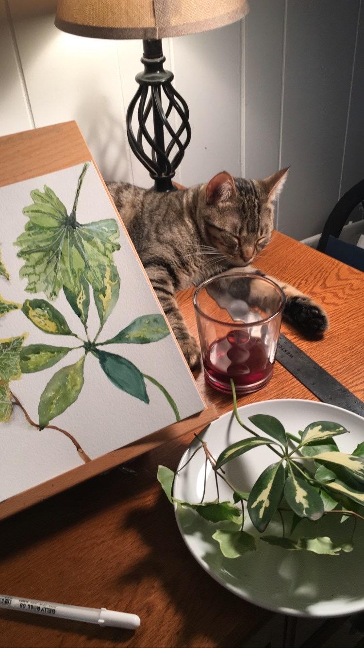 Nature Journal - image 1 - student project