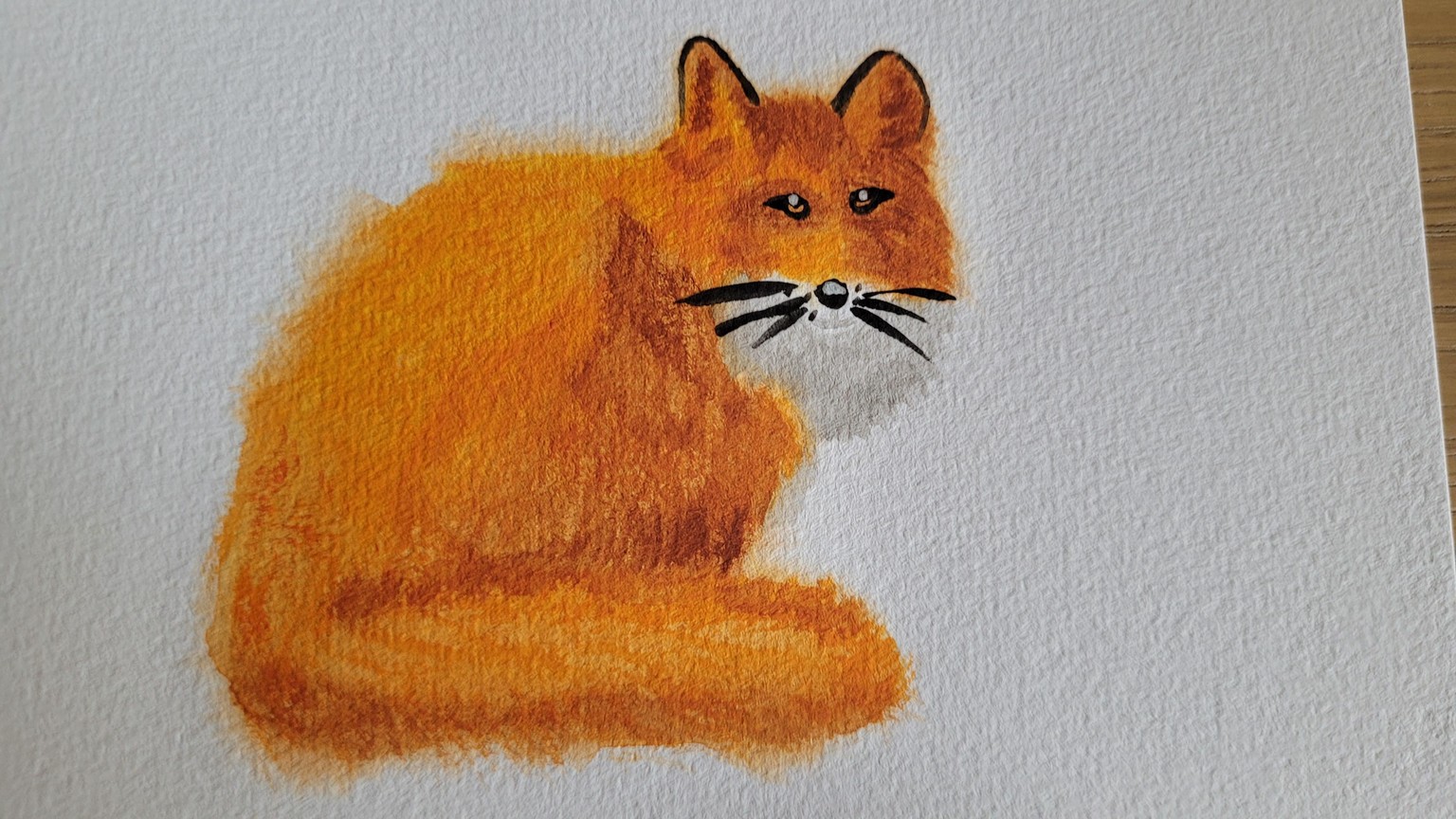 Fluffy foxes - image 2 - student project