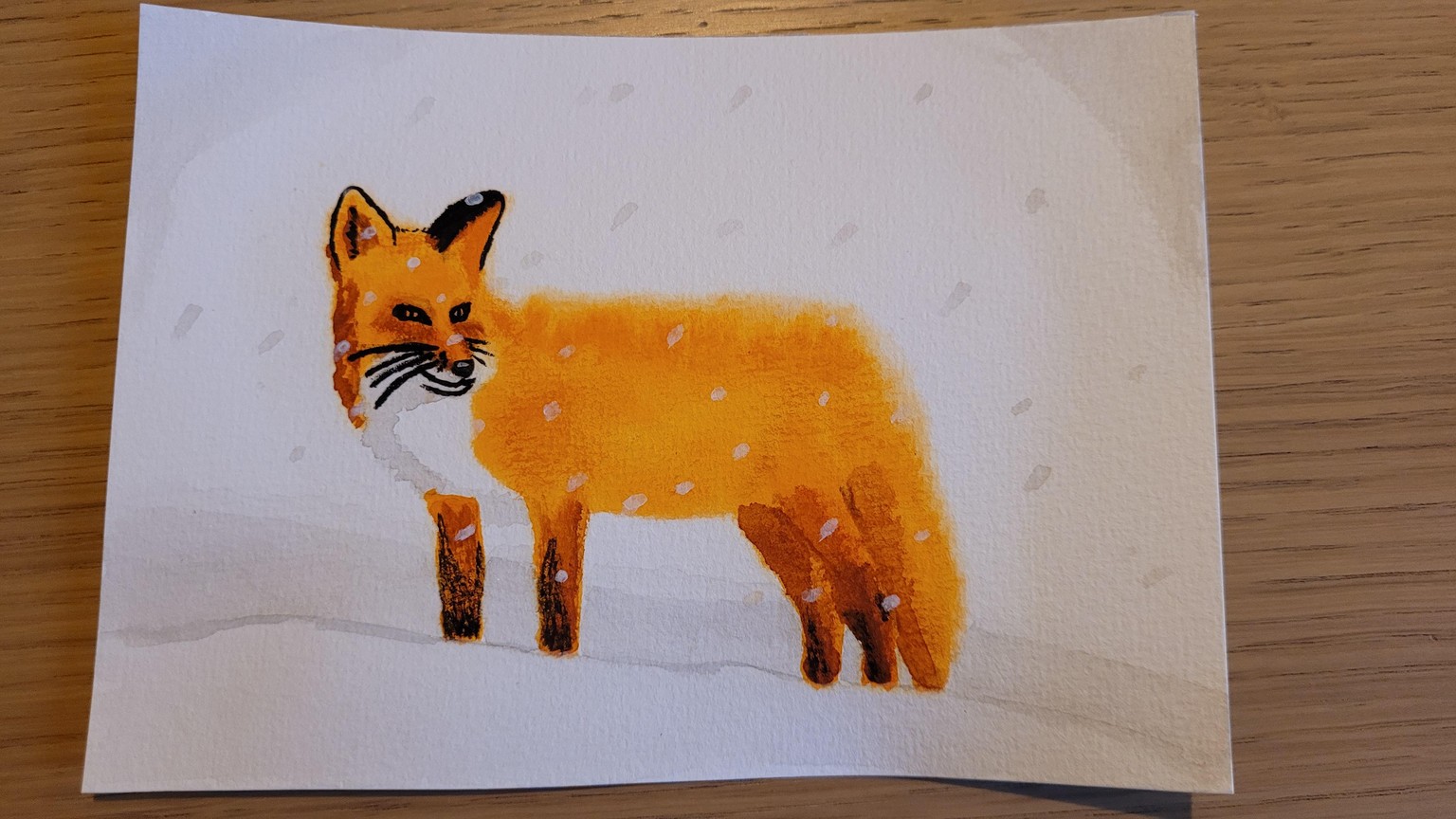 Fluffy foxes - image 1 - student project