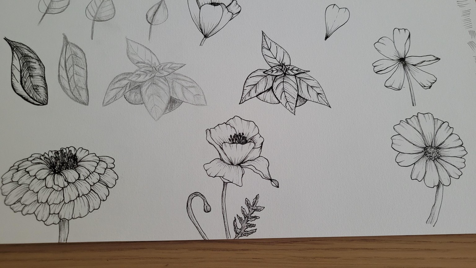 Shadowing practice - image 3 - student project