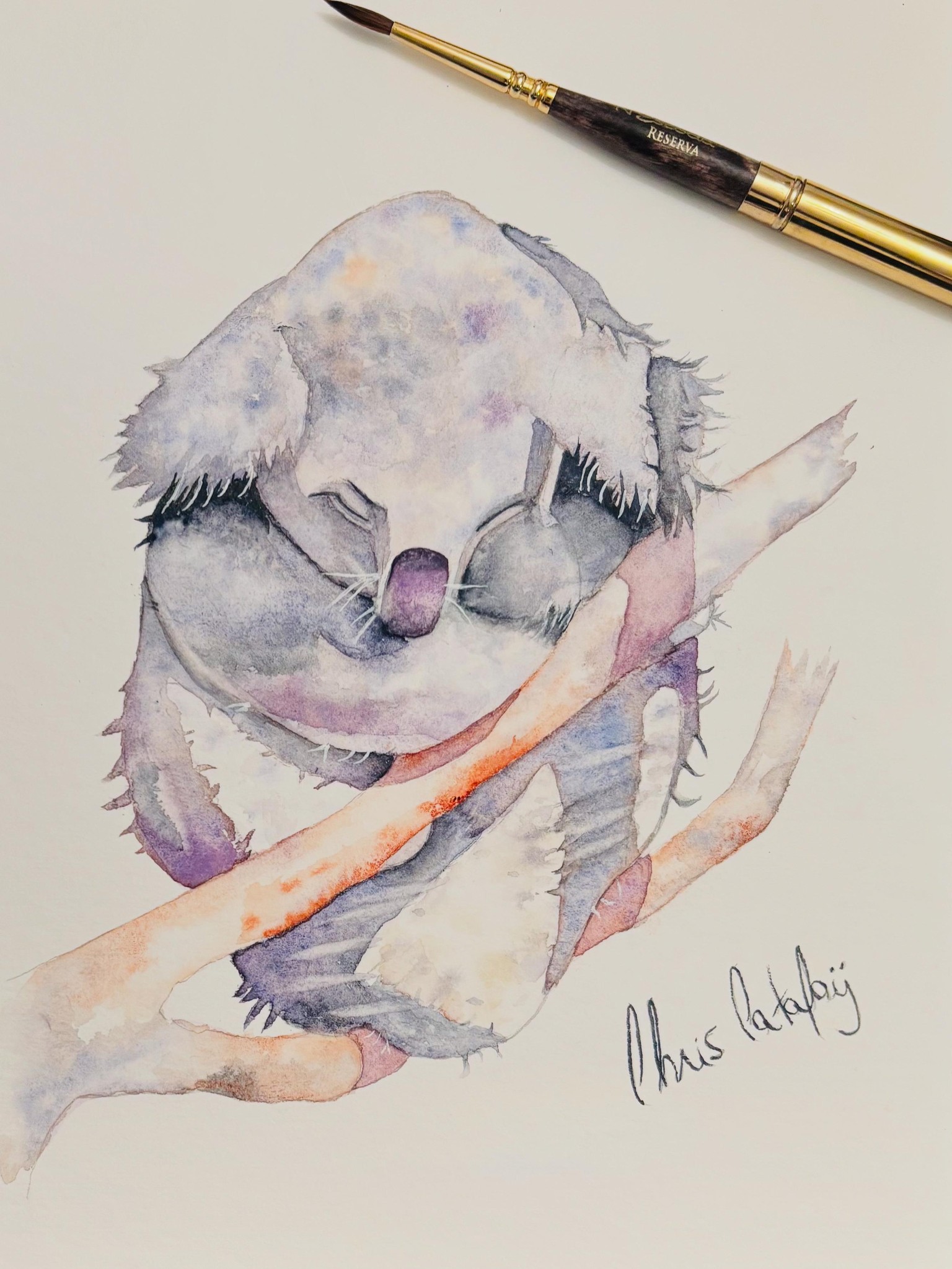 Sleeping Koala - image 1 - student project