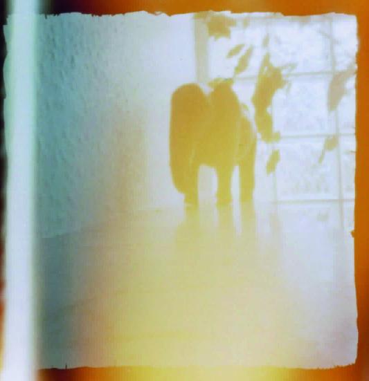 My first pinhole camera - image 7 - student project