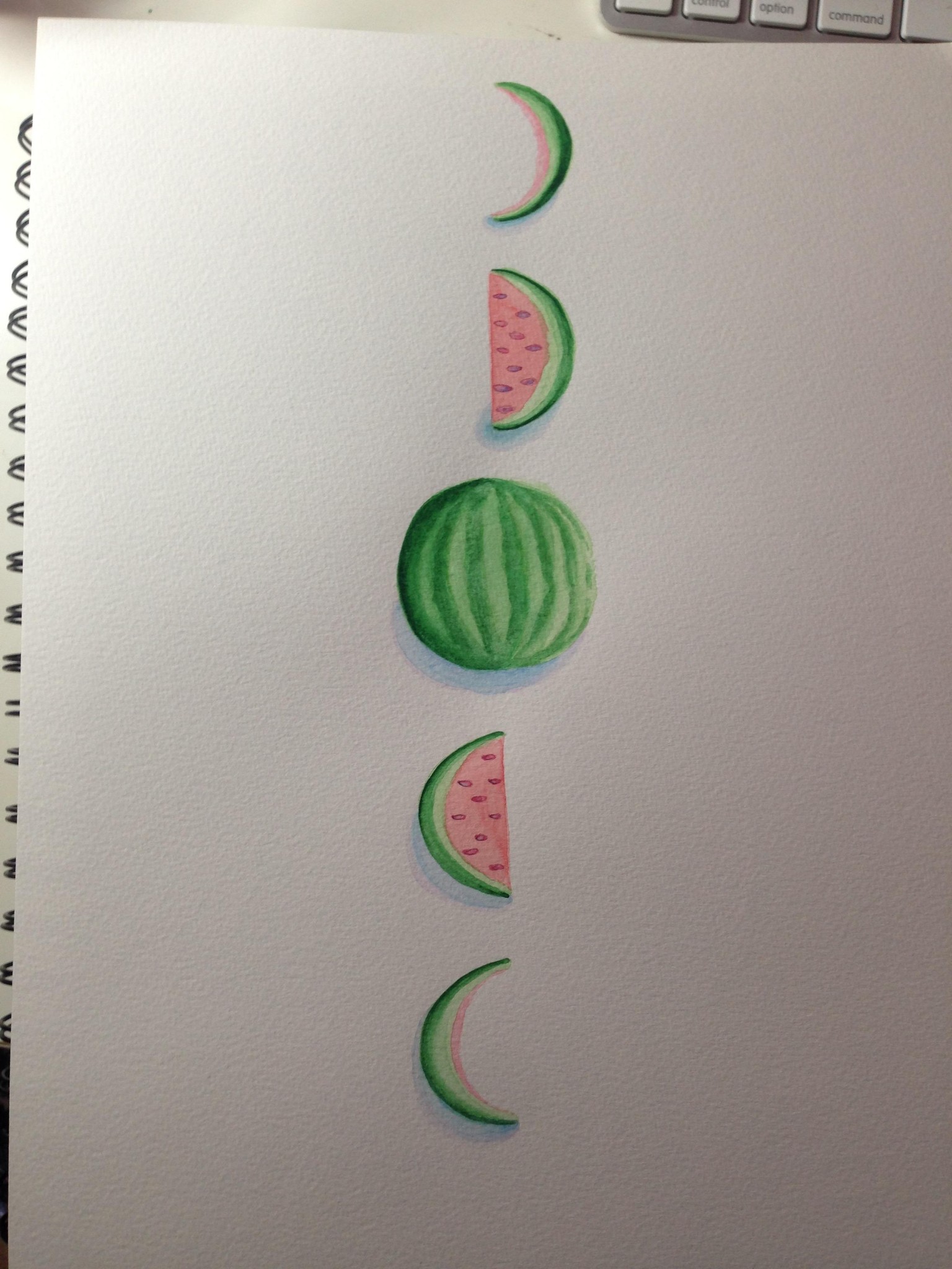 Watermelon Moon Phase - image 4 - student project
