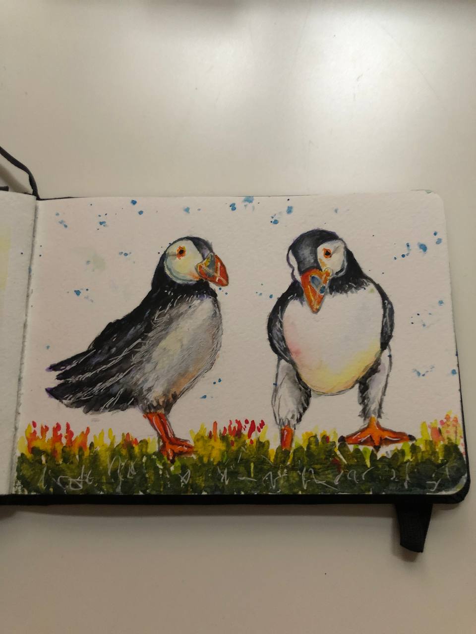 Puffins - image 1 - student project