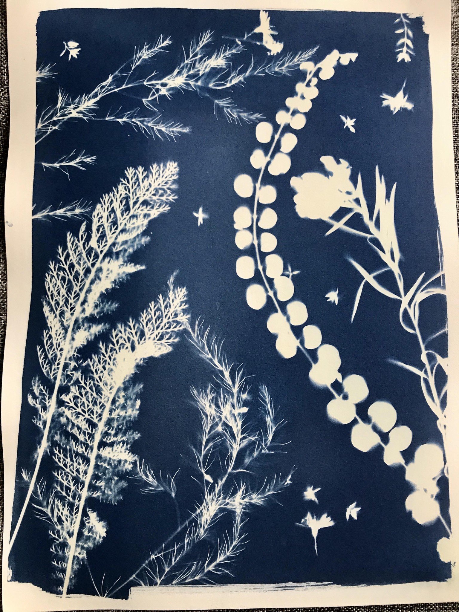 Cyanotype - image 8 - student project