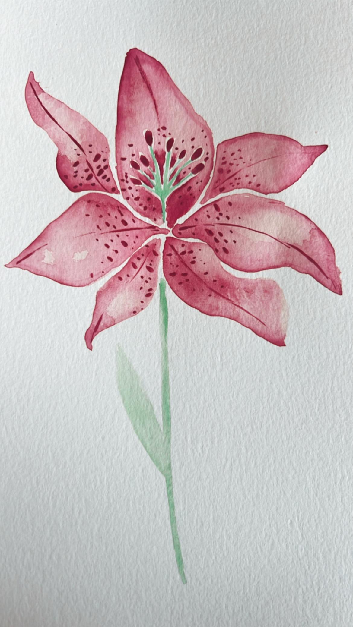 Lily Watercolor - image 1 - student project