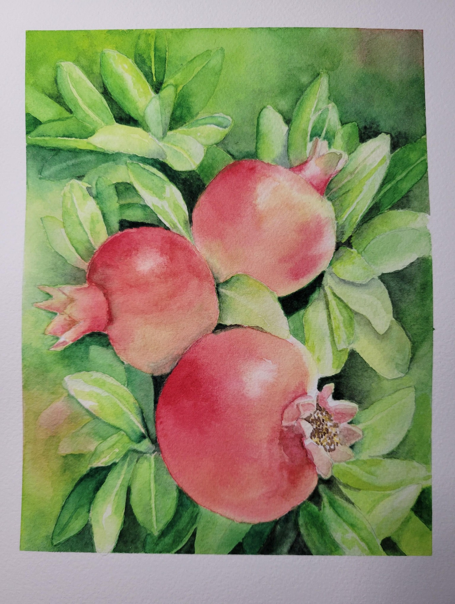 Negative painting pomegranate - image 1 - student project