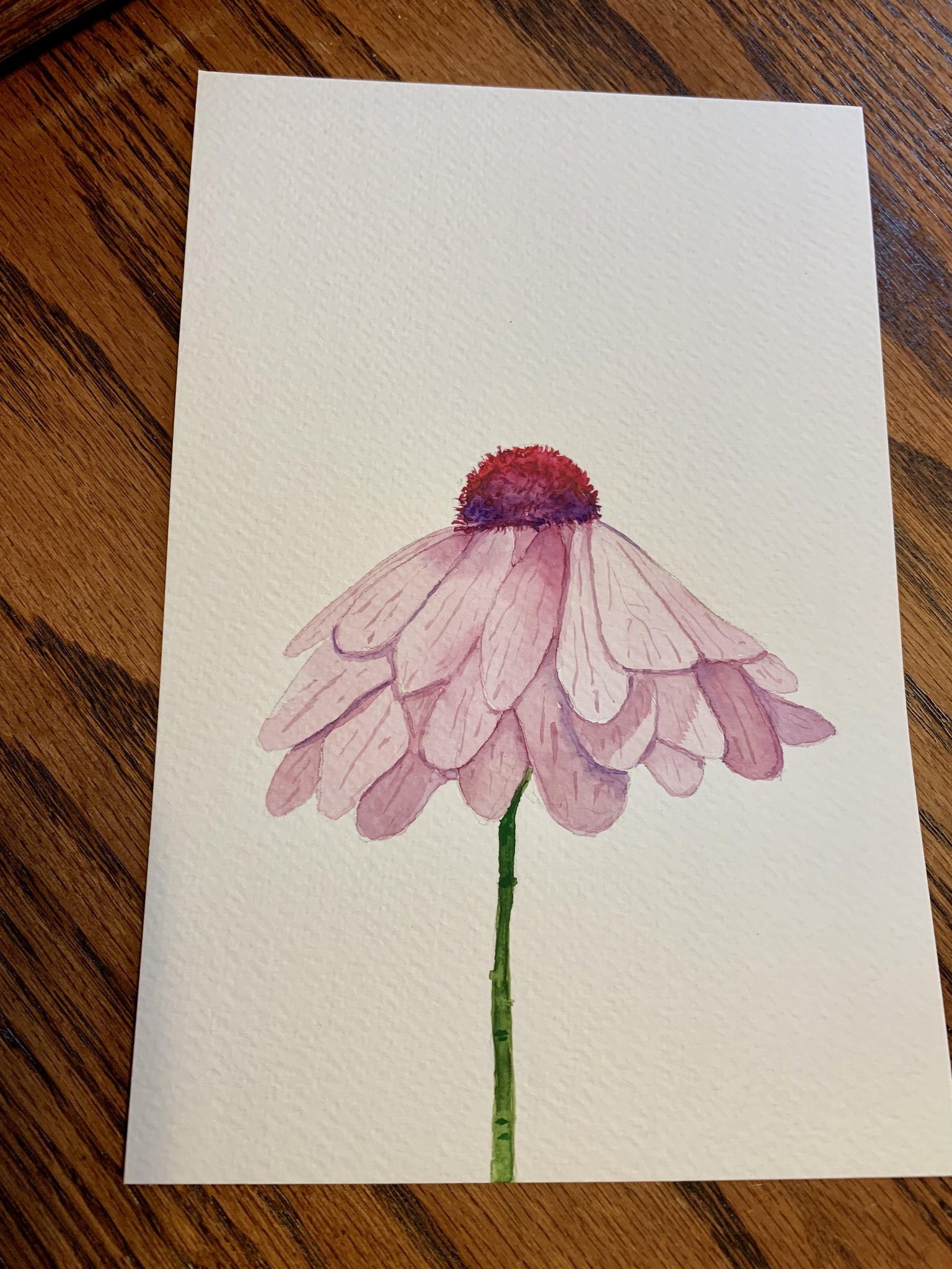 Pink Daisy - image 1 - student project