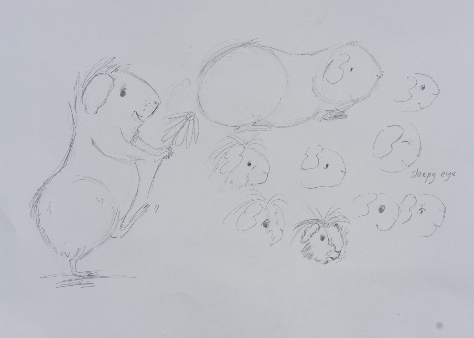 Cookie and Cora 's Garden Party - image 5 - student project