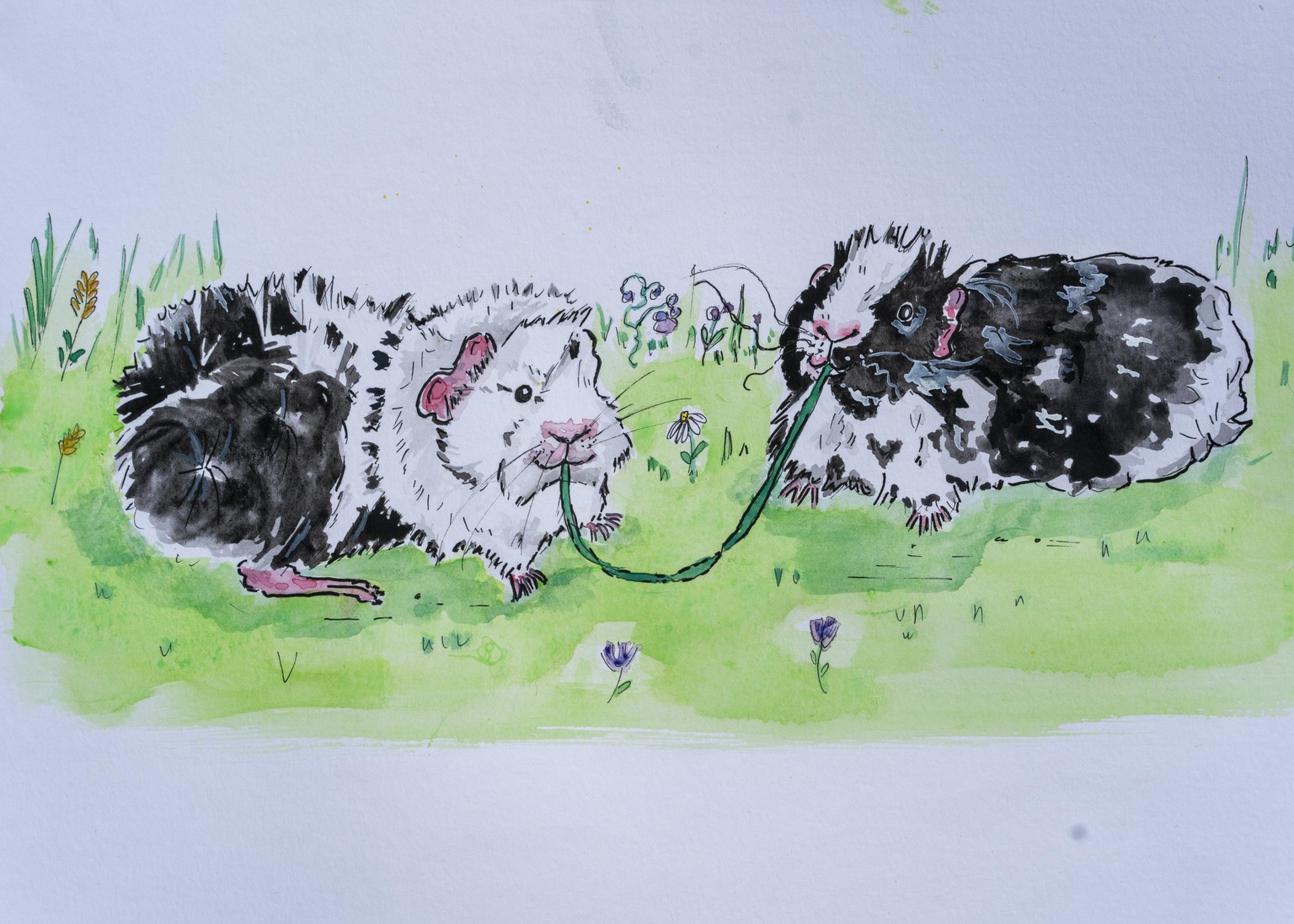 Cookie and Cora 's Garden Party - image 1 - student project