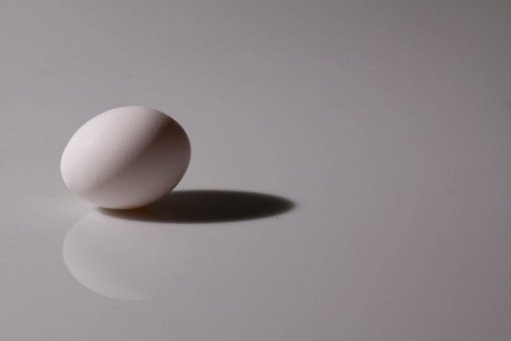 Also egg - image 1 - student project