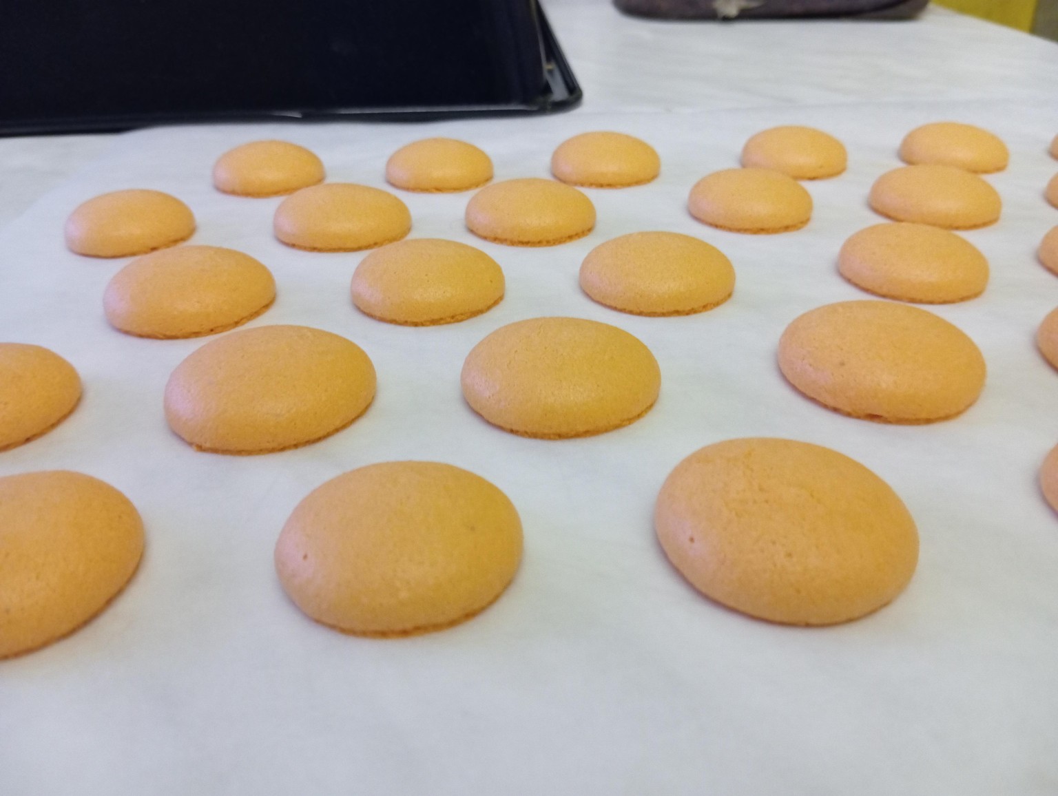 Own French Macarons at Home - image 1 - student project