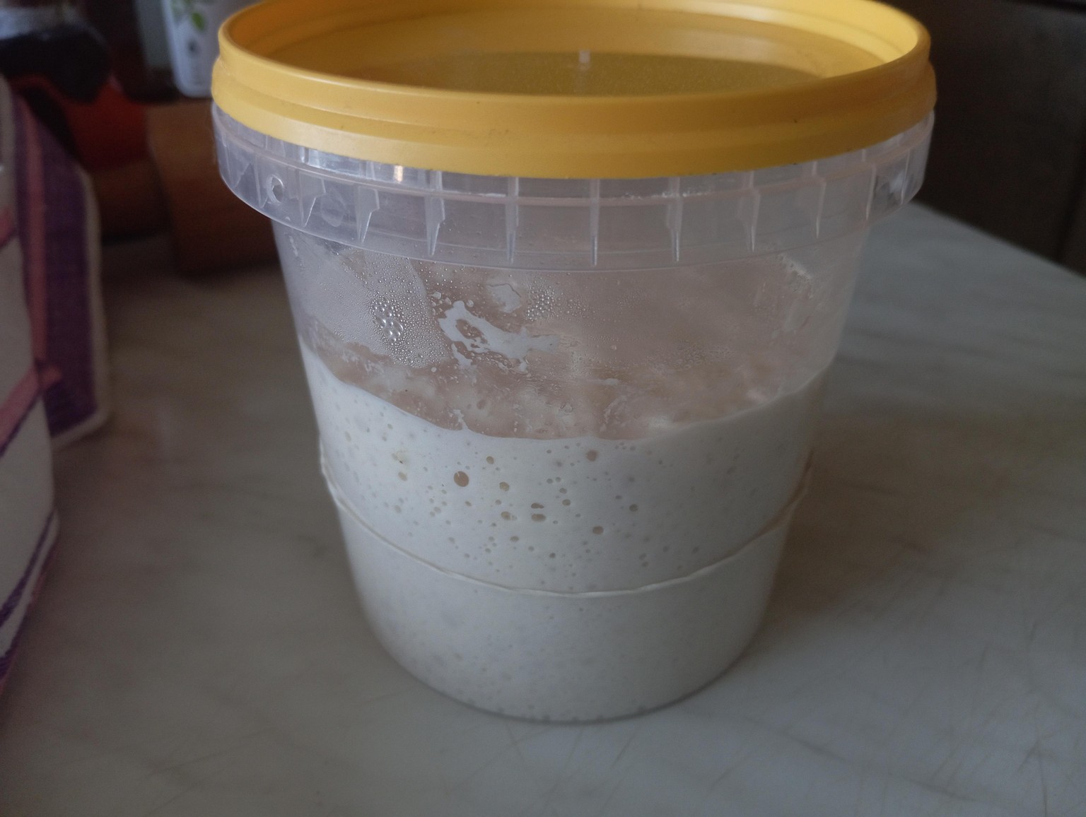 Sourdough Starter and baking - image 3 - student project