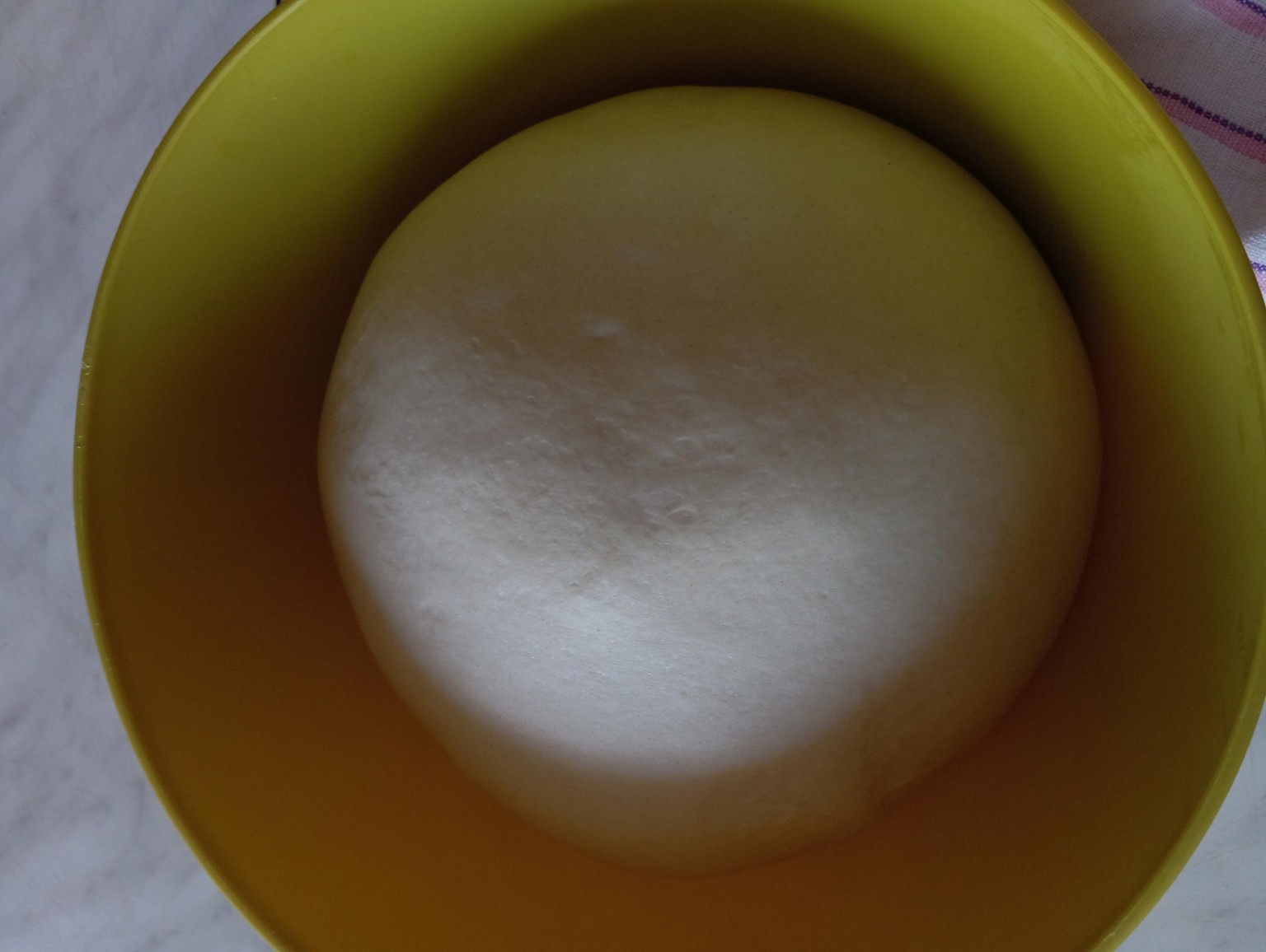 Sourdough Starter and baking - image 2 - student project