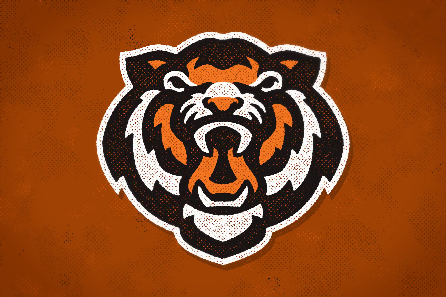 Stock Tiger Head - image 1 - student project