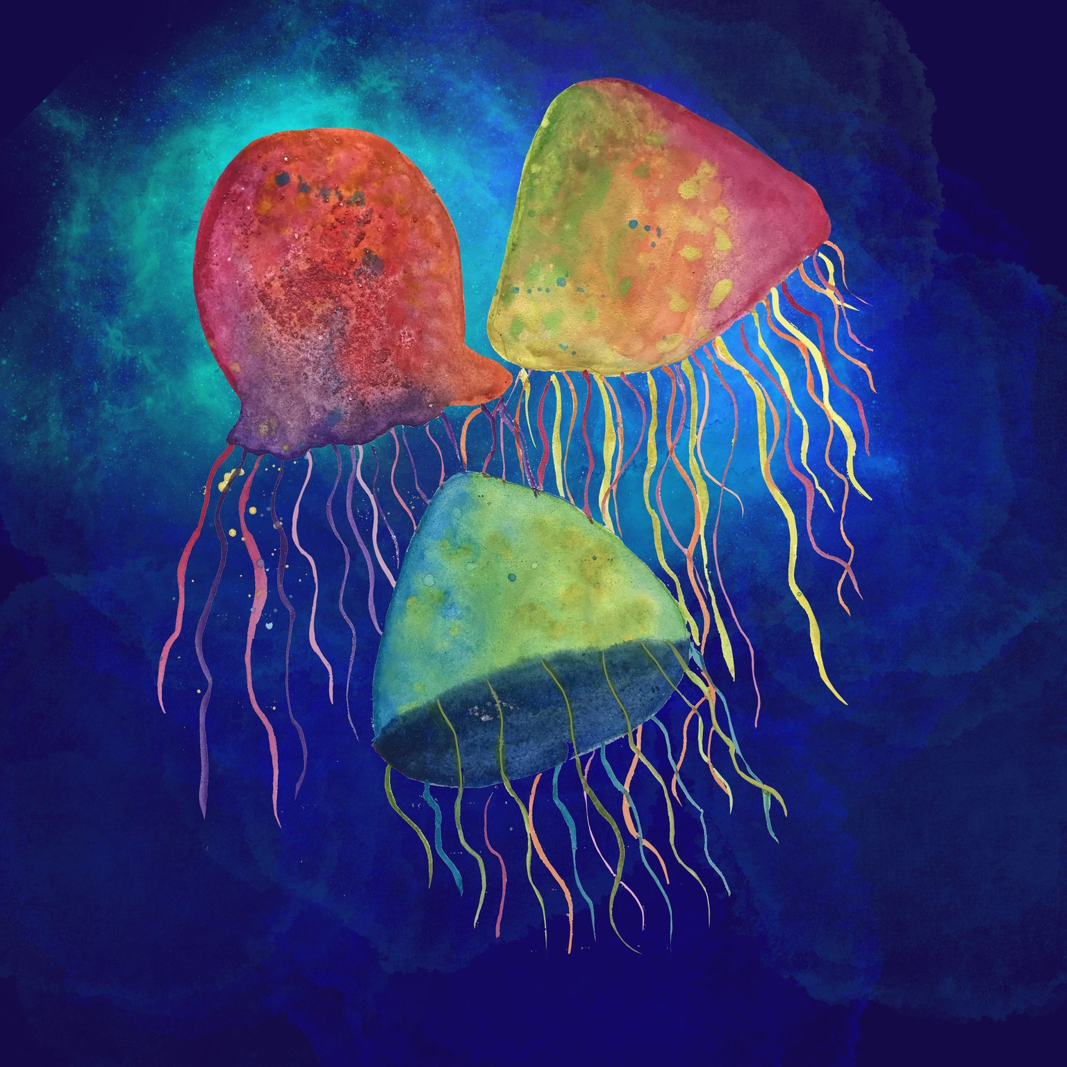 Jelly fish - image 1 - student project