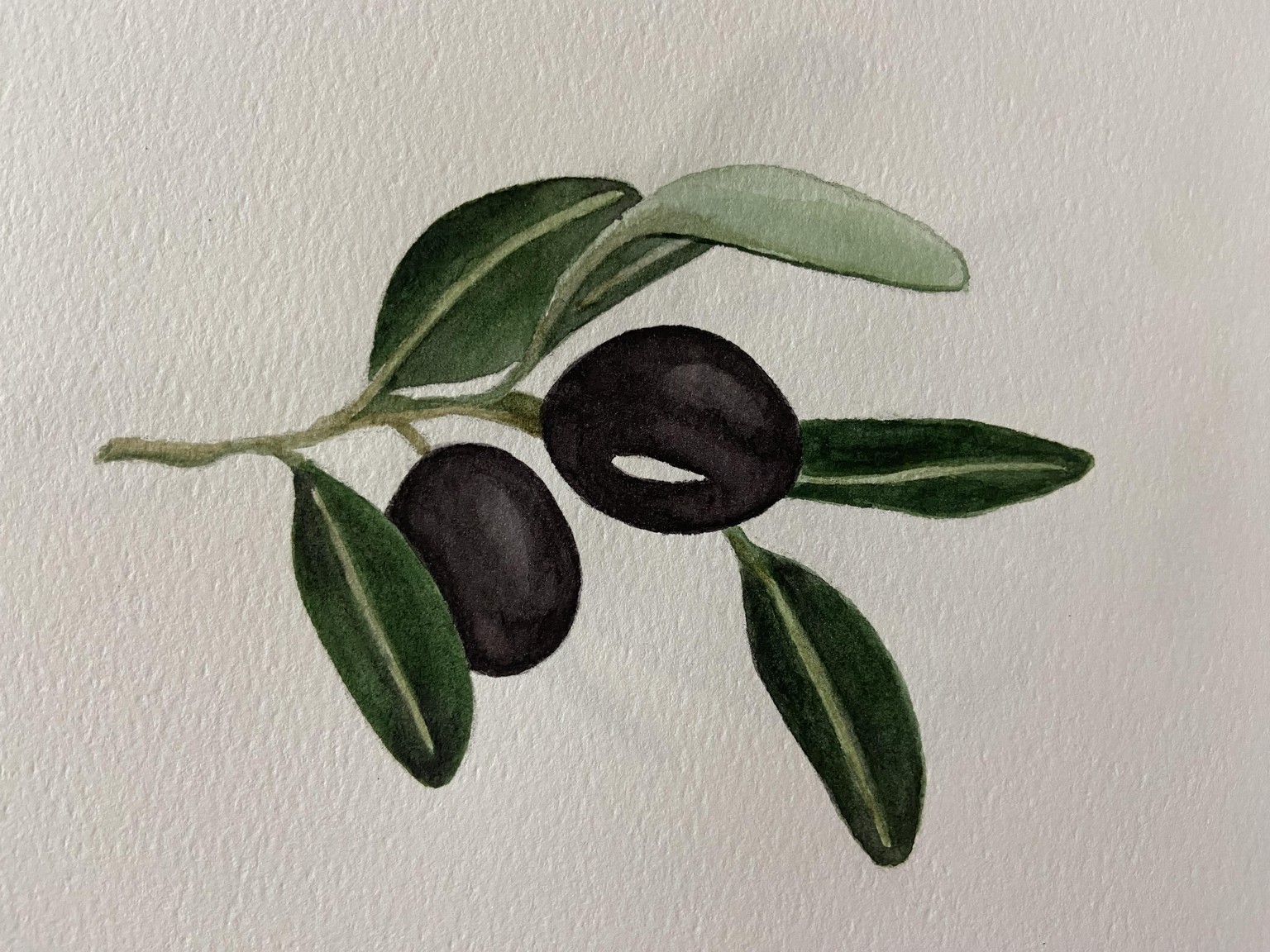 Botanical watercolor - image 2 - student project