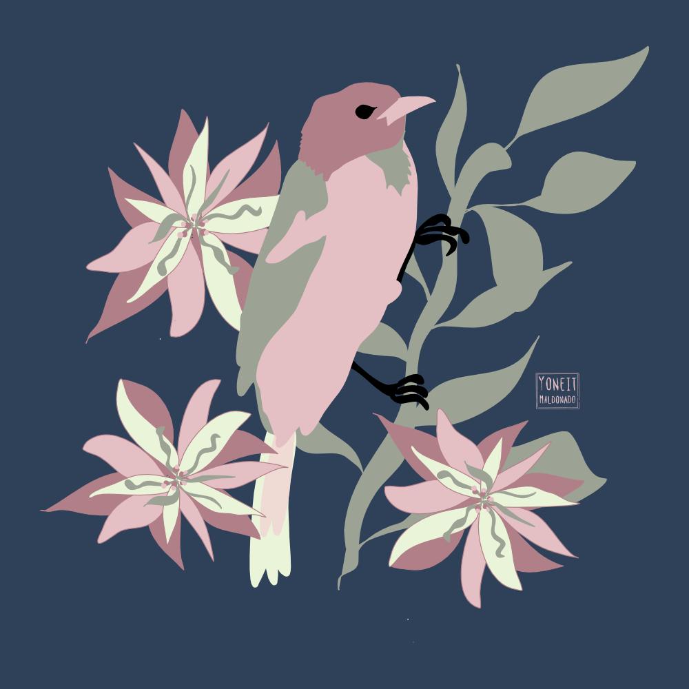 pajarito vectorial - image 1 - student project