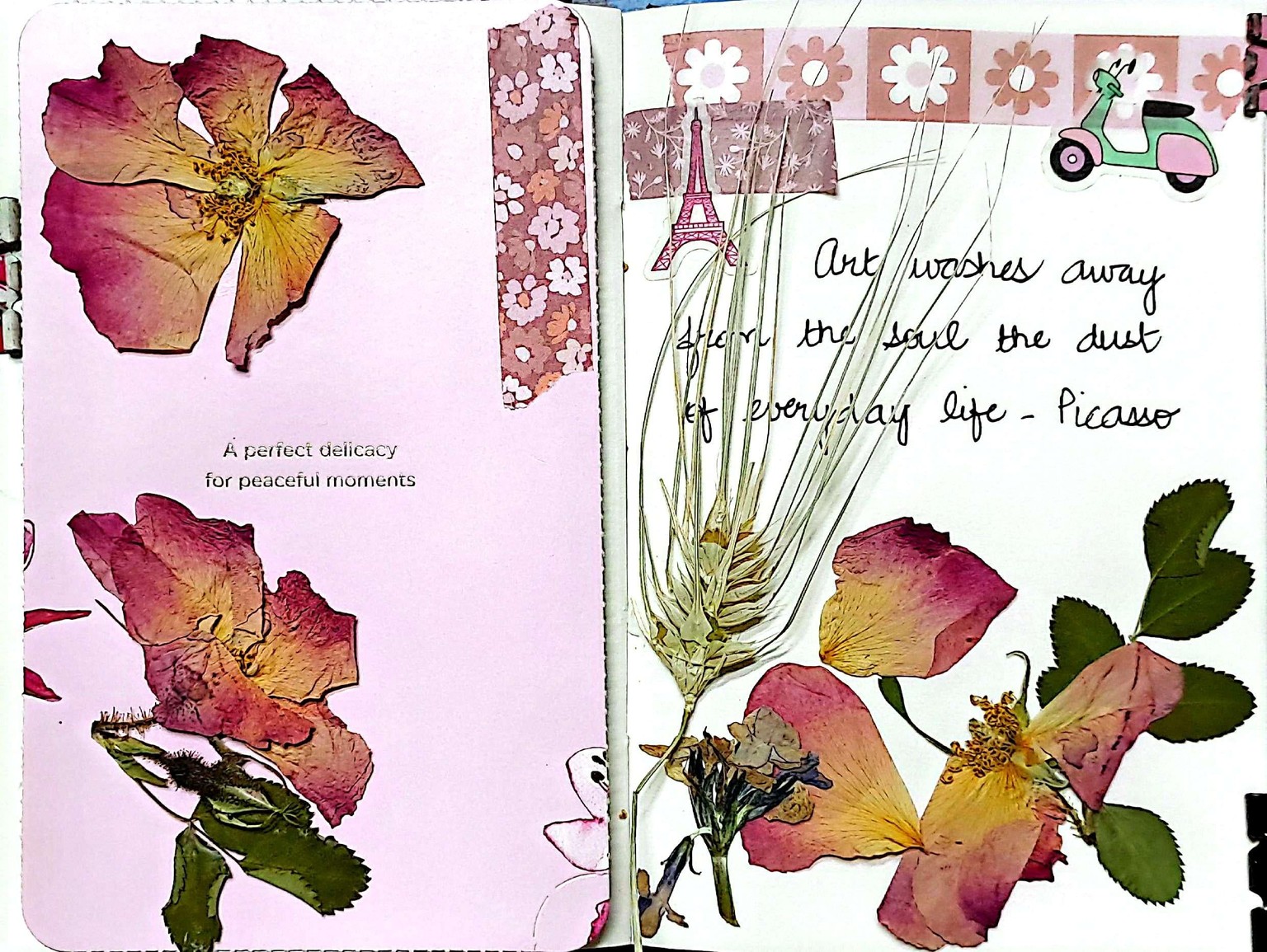 Pretty in Pink - image 1 - student project