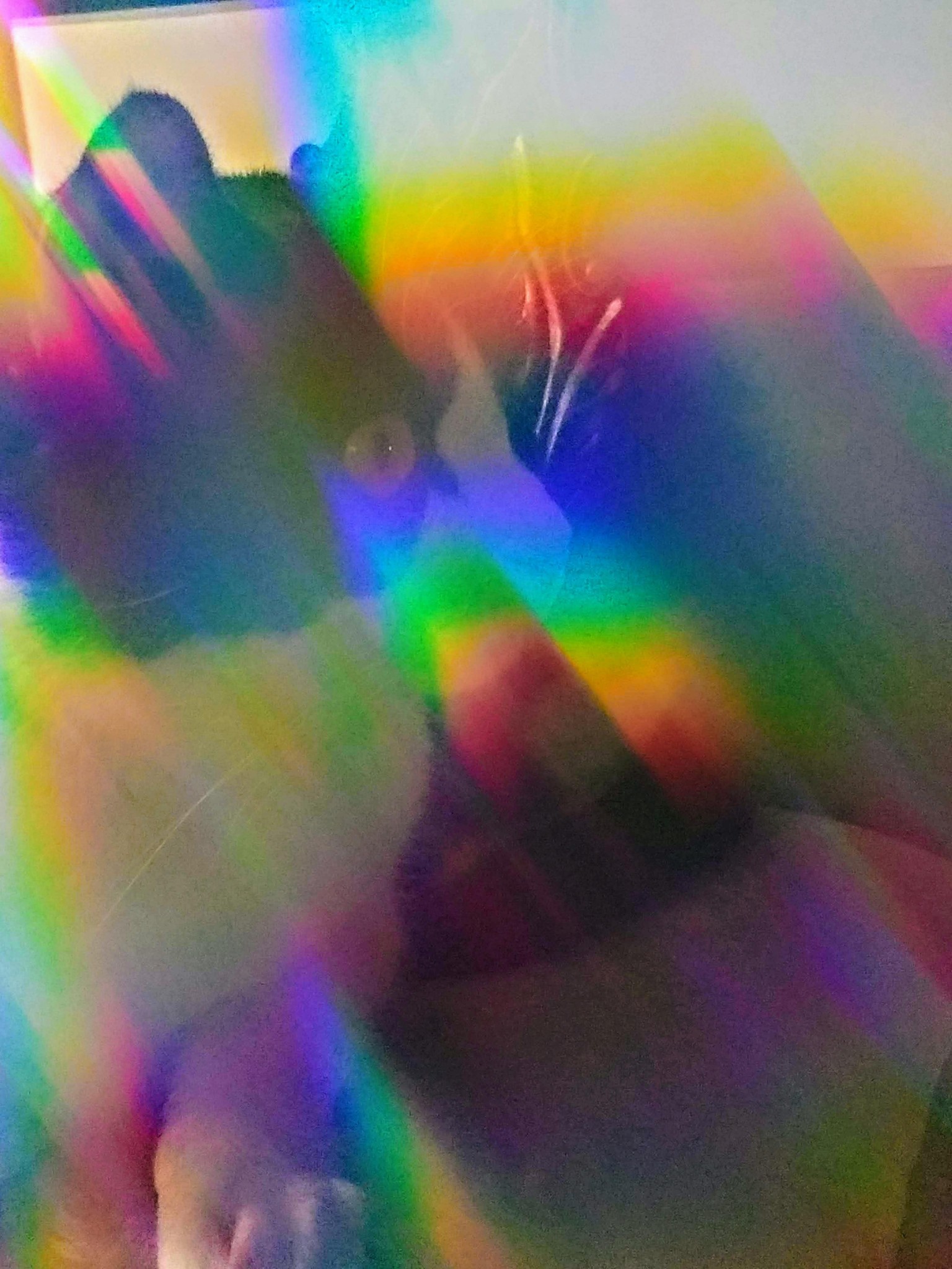 Rainbow Clara - image 3 - student project