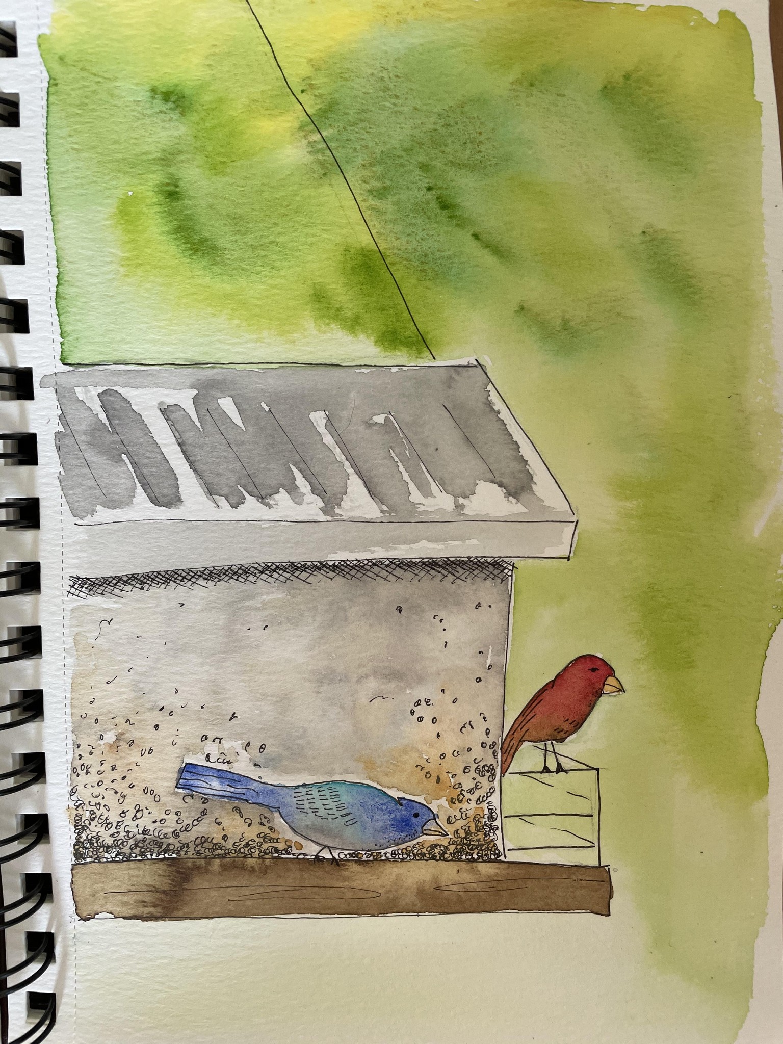 I will illustrate morning birdwatching. - image 2 - student project